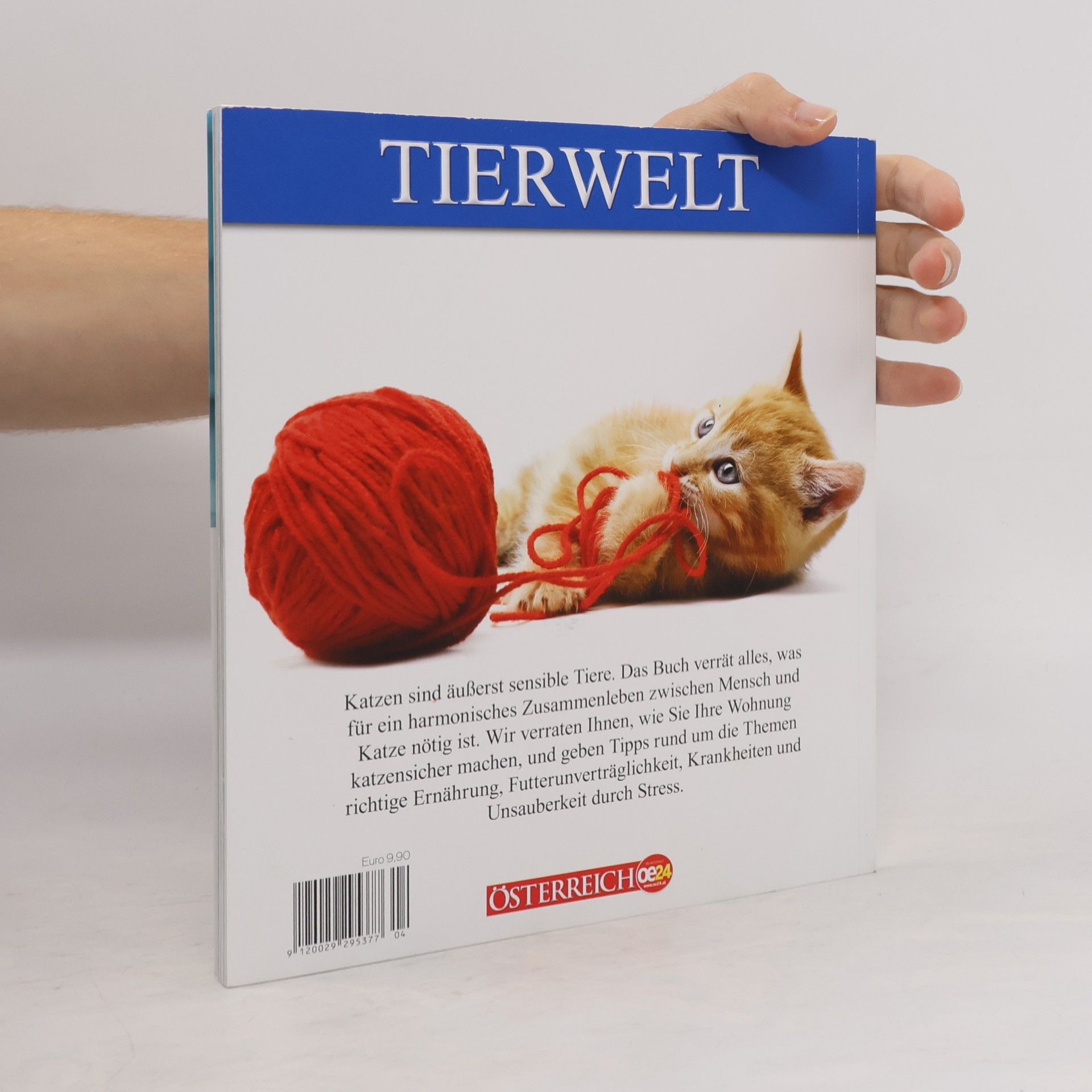 Autorenkollektiv Der große Katzen-Guide