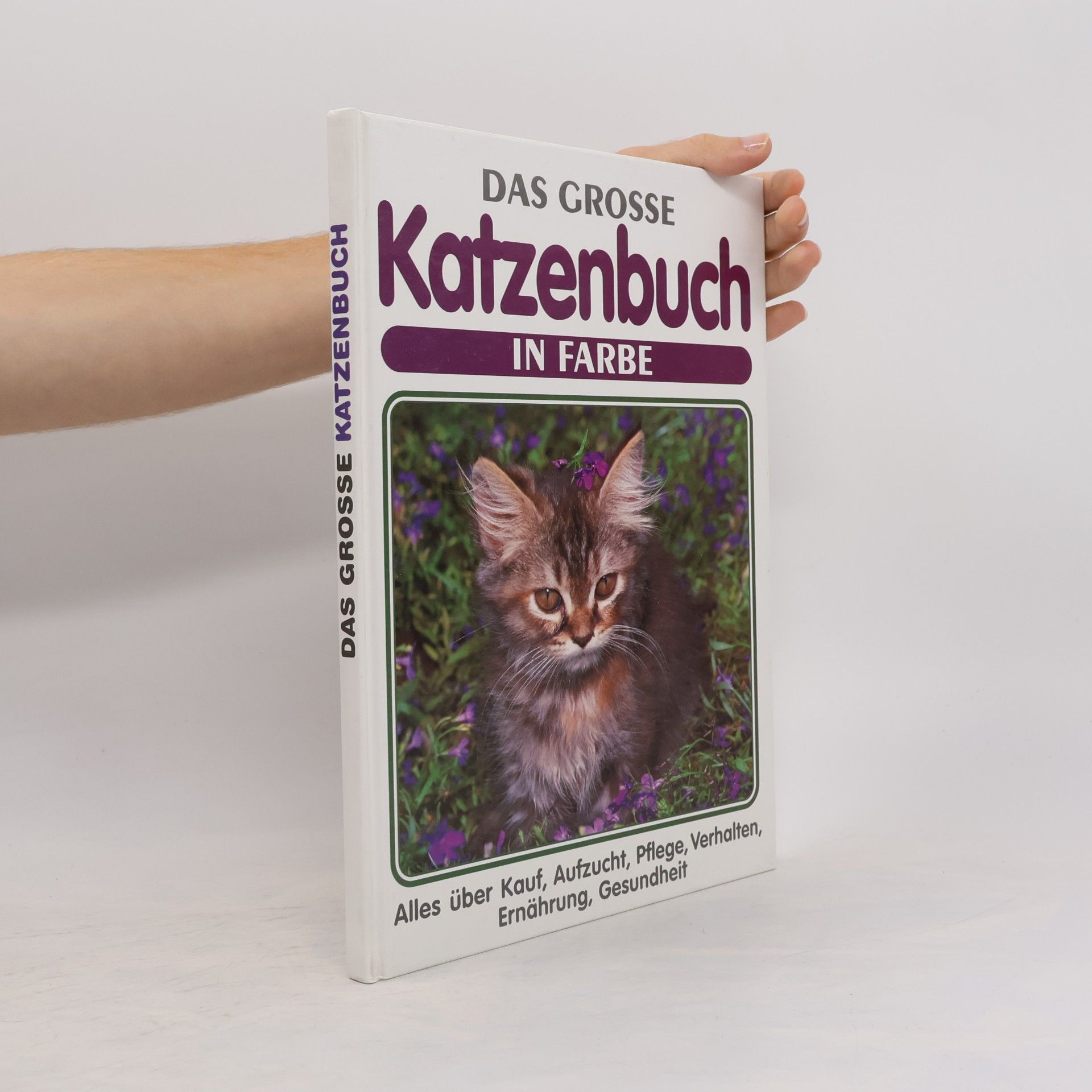 Heinz Sponsel Das grosse Katzenbuch in Farbe