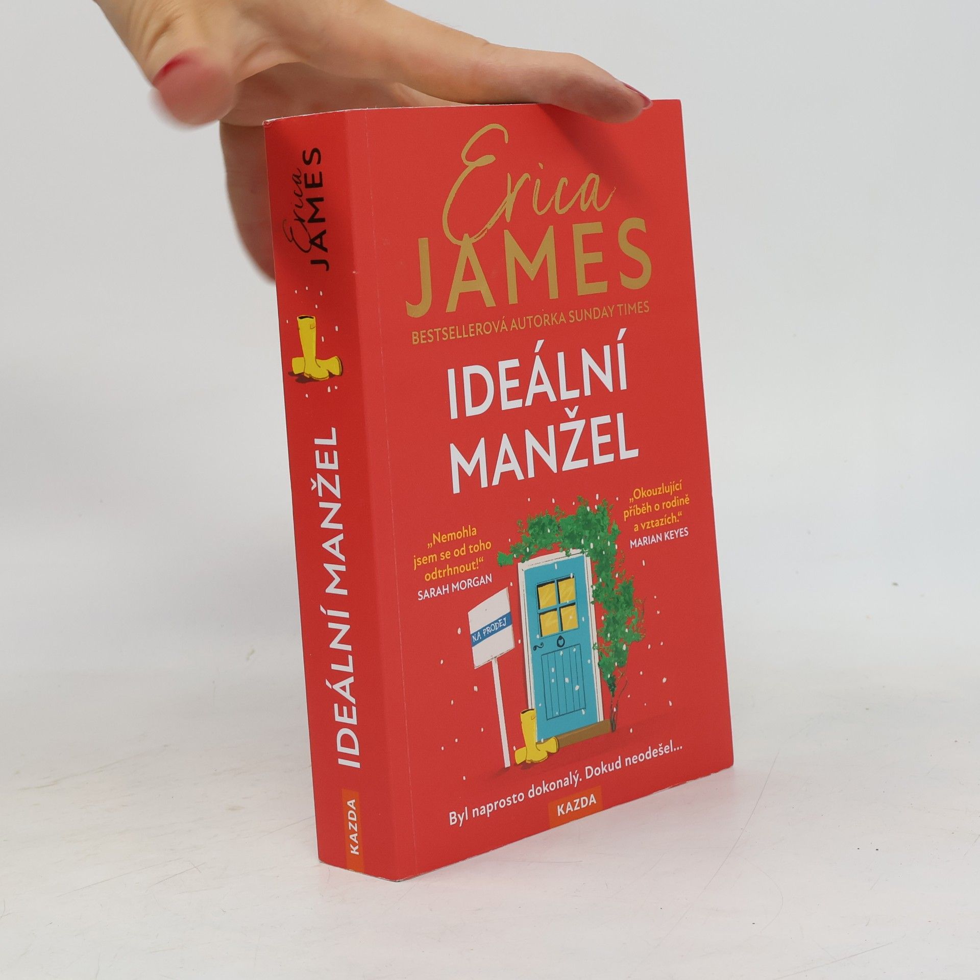 Erica James Ideální manžel