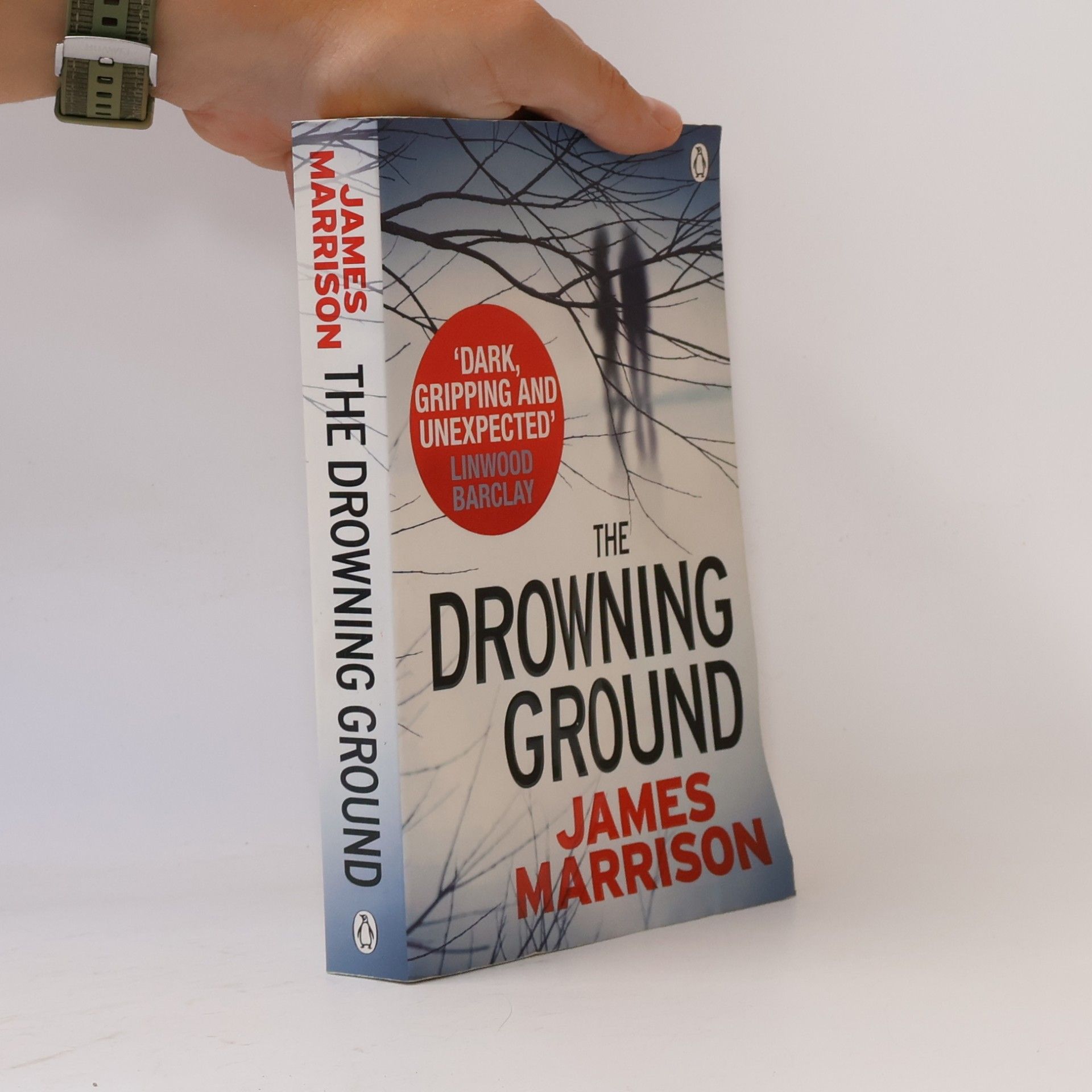 James Marrison Guillermo Downes Thriller - 2: The Drowning Ground