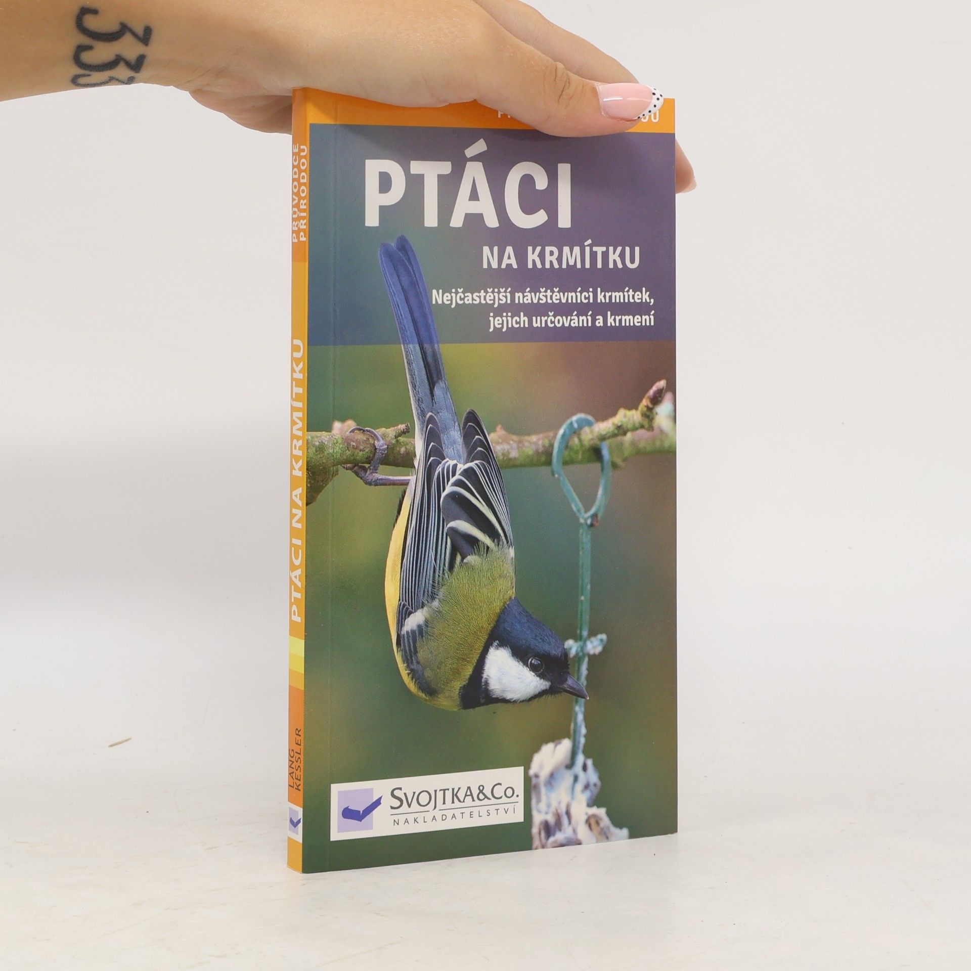 Ptáci na krmítku