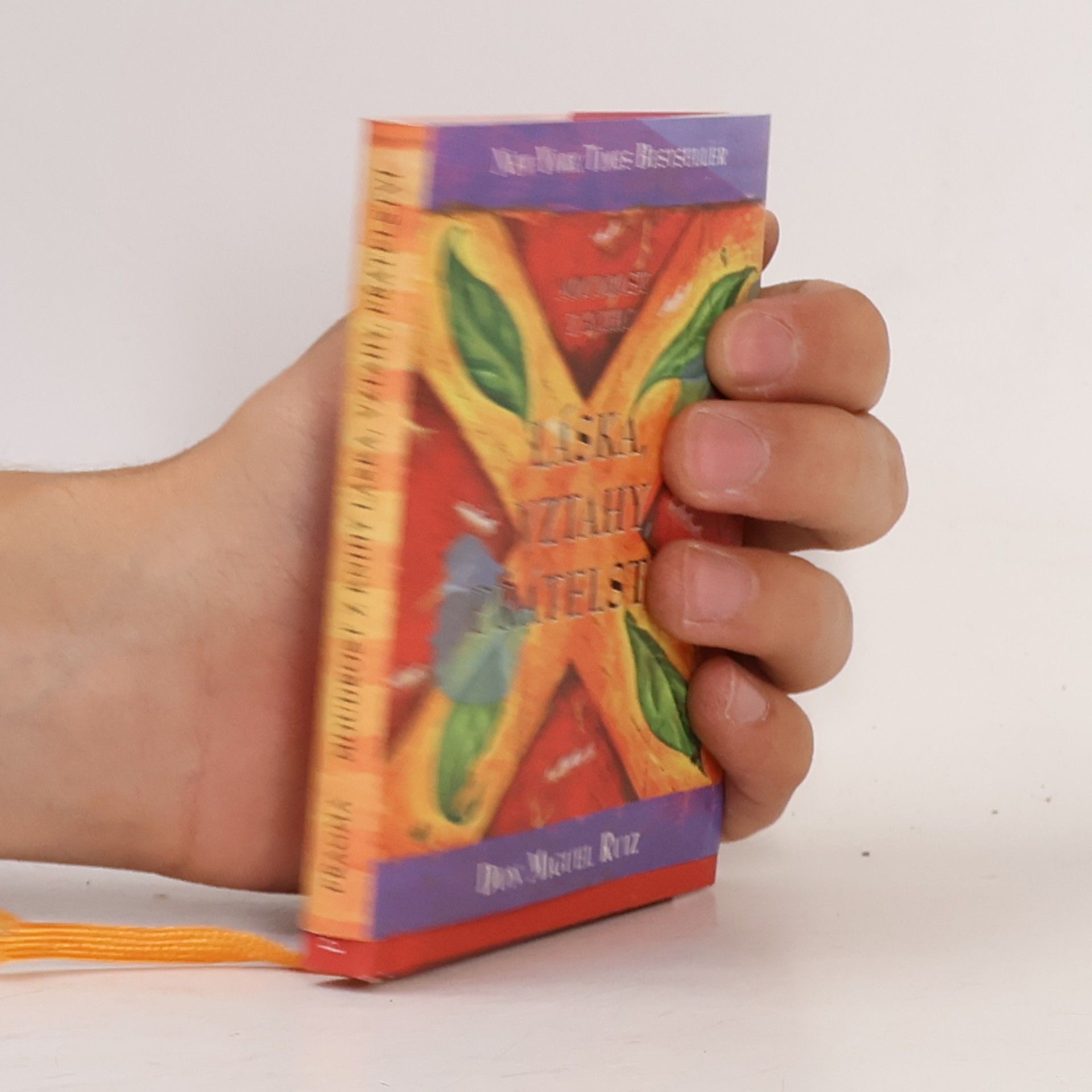Don Miguel Ruiz Moudrost z knihy Láska, vztahy, přátelství