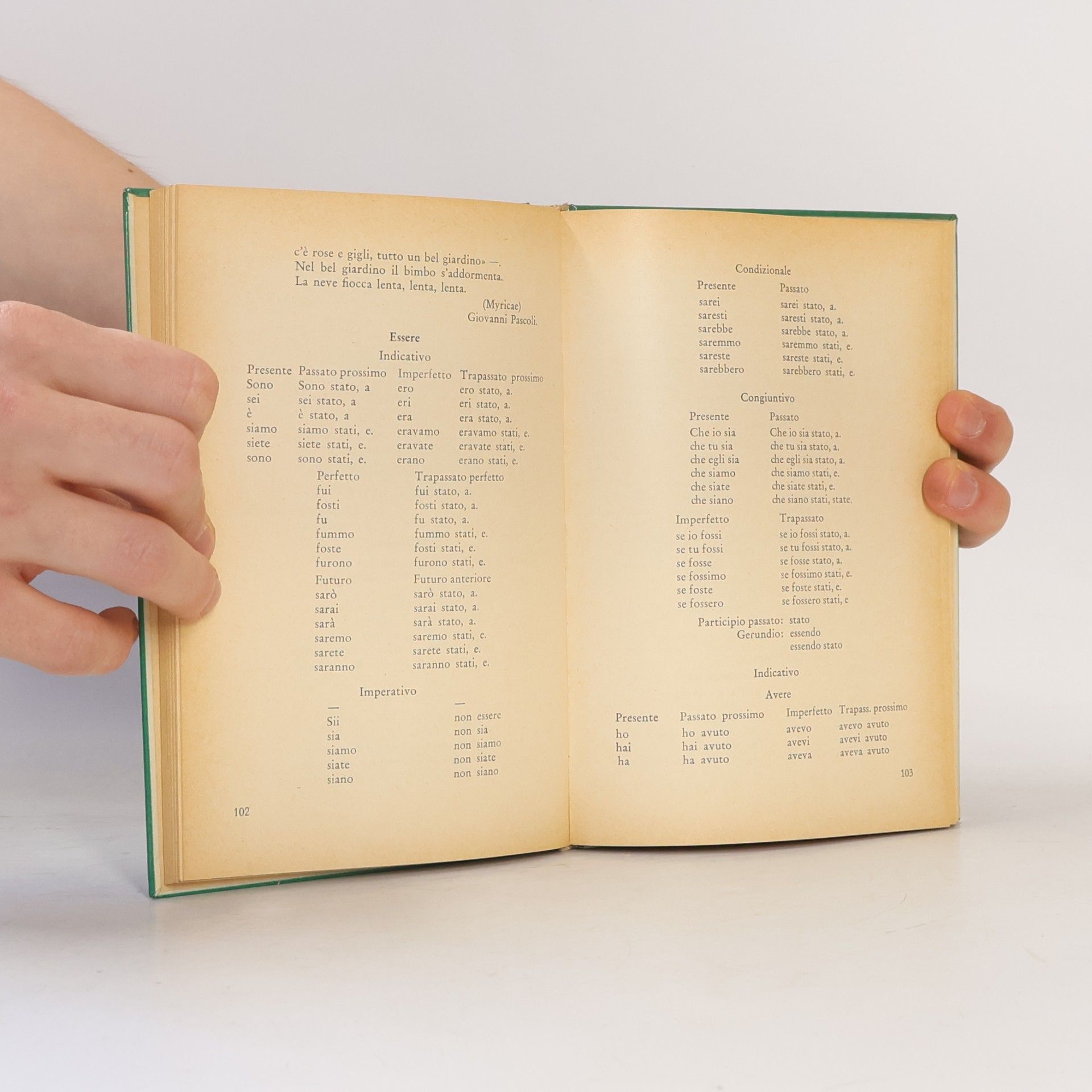 Elena Cappelli Lehrbuch der italienischen Sprache. Libro d'italiano