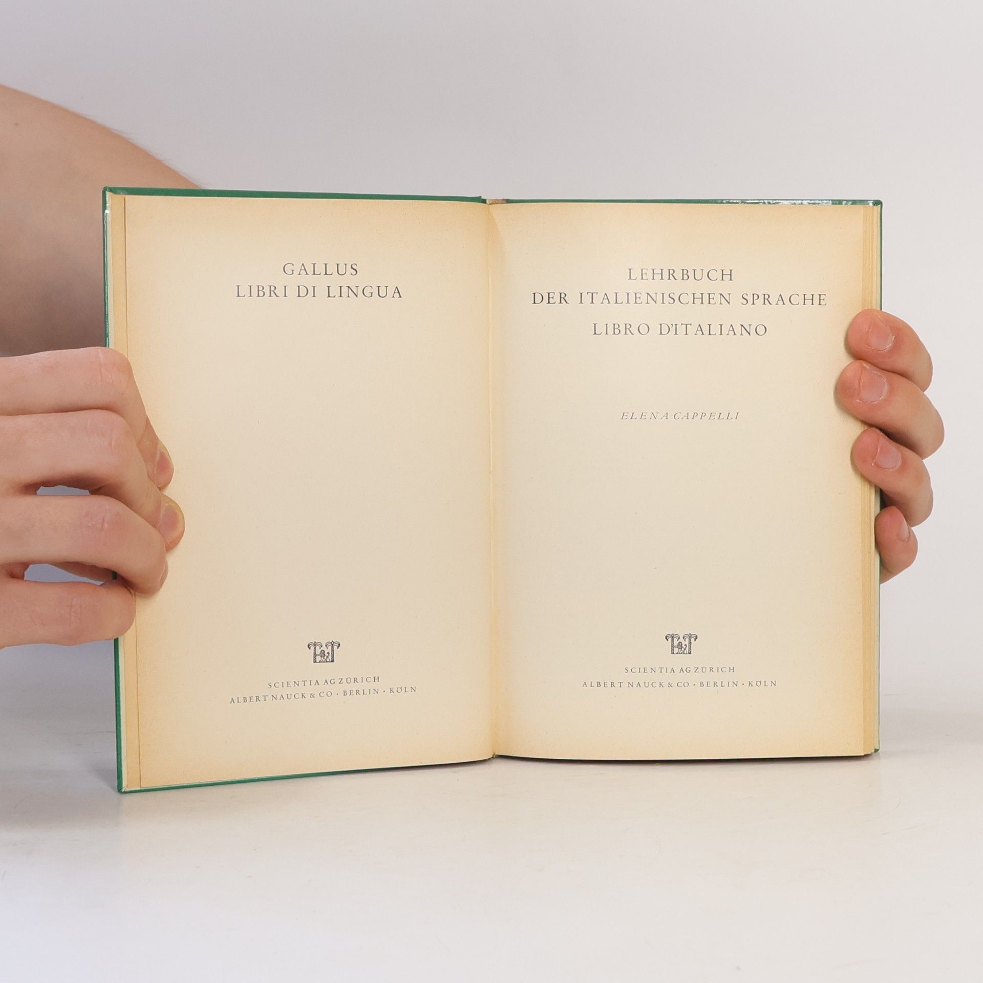Elena Cappelli Lehrbuch der italienischen Sprache. Libro d'italiano