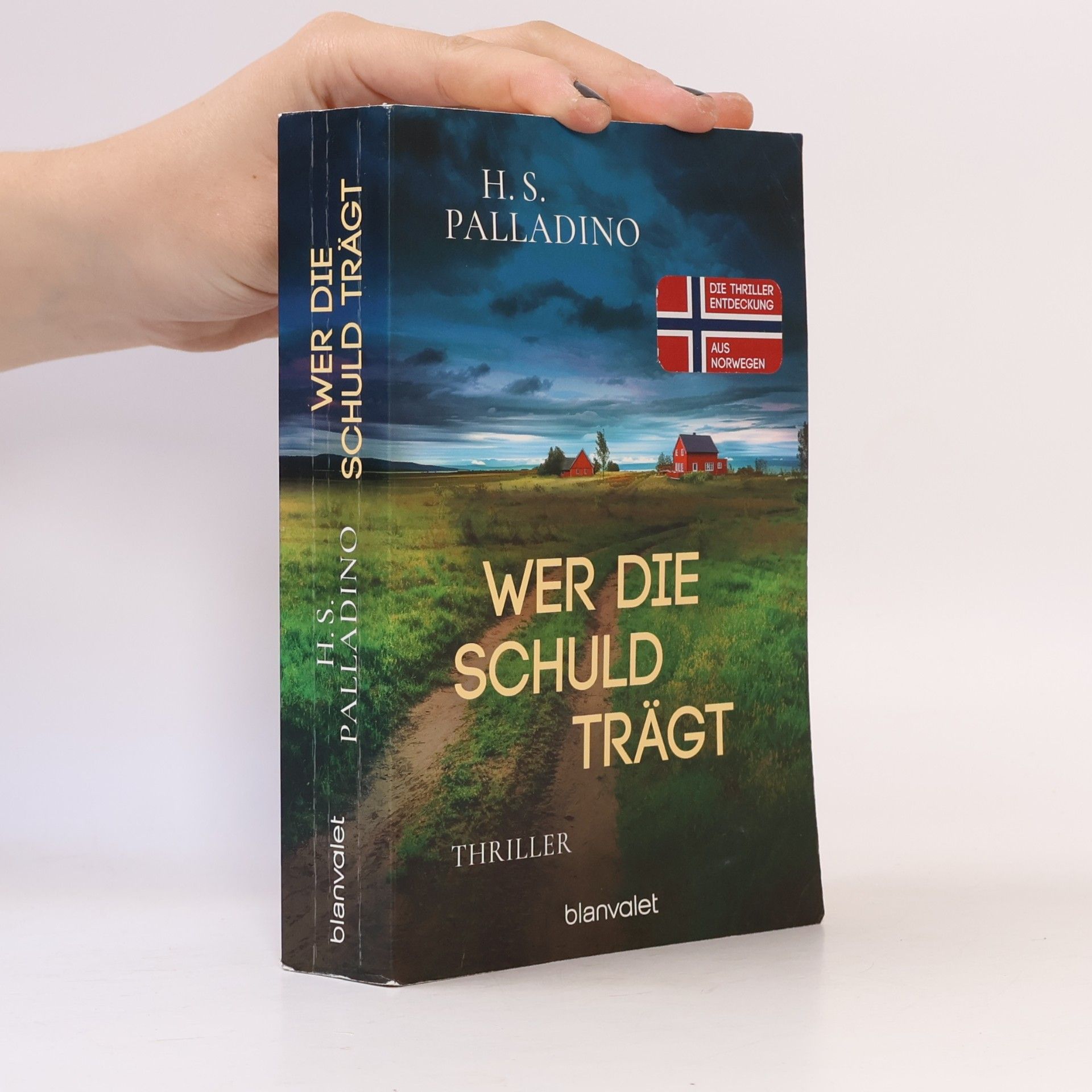 H.S. Palladino Wer die Schuld trägt