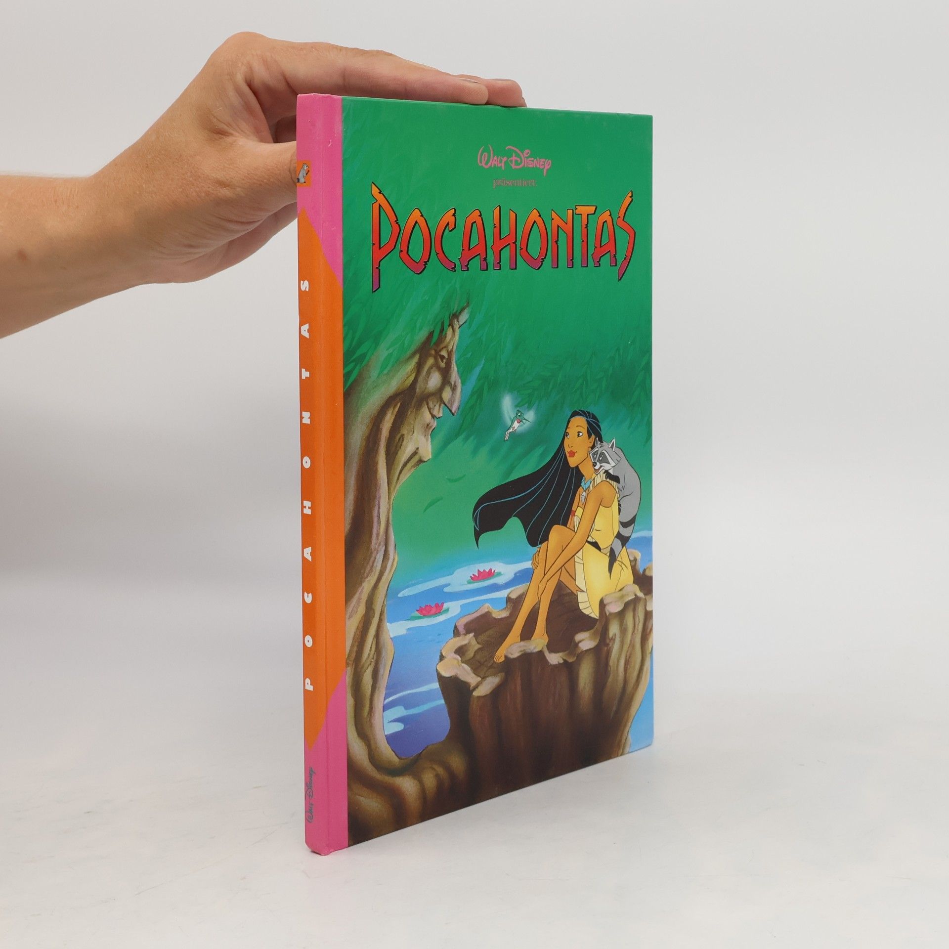 Walt Disney Pocahontas
