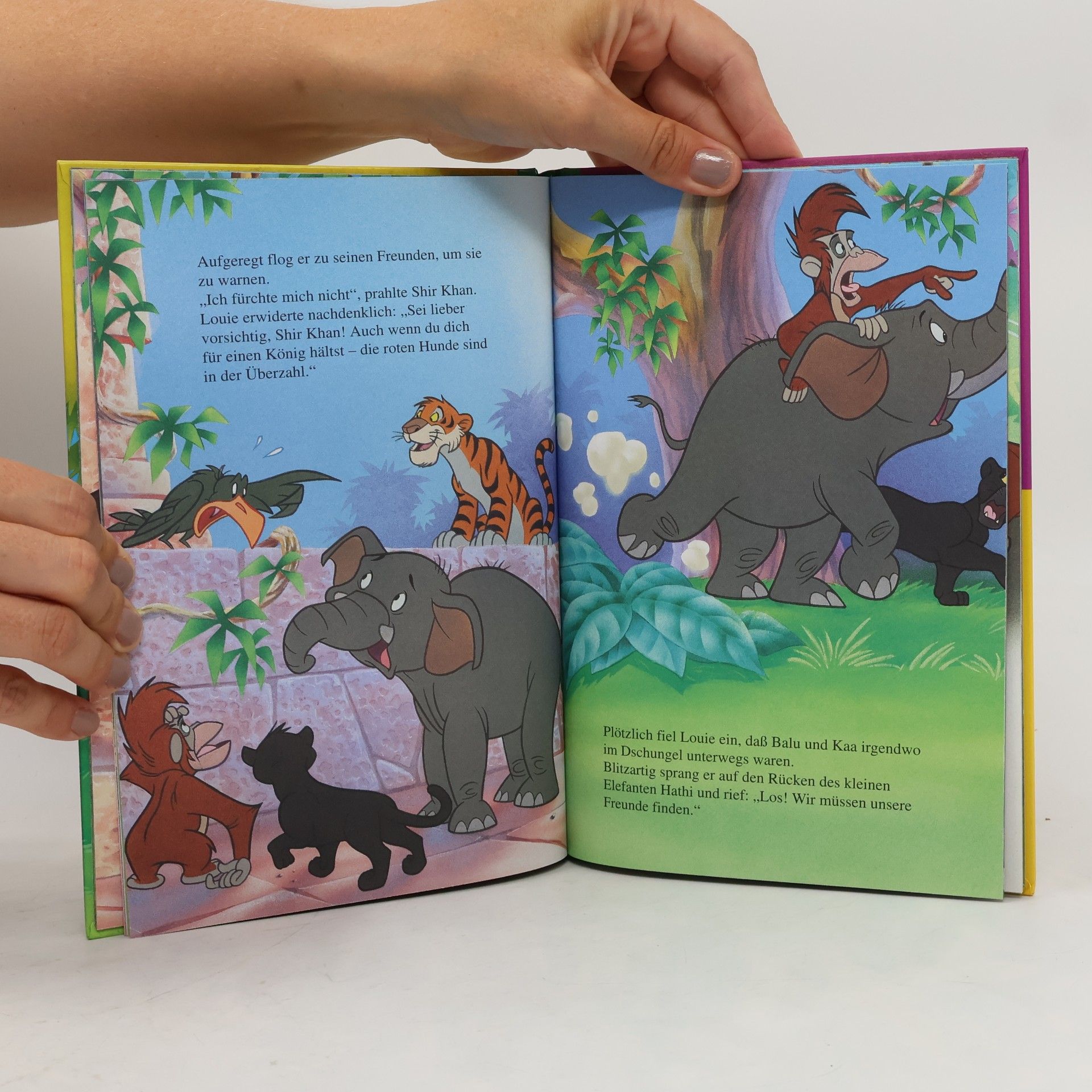 Kolektív autorov Die Dschungelbuch-Kids