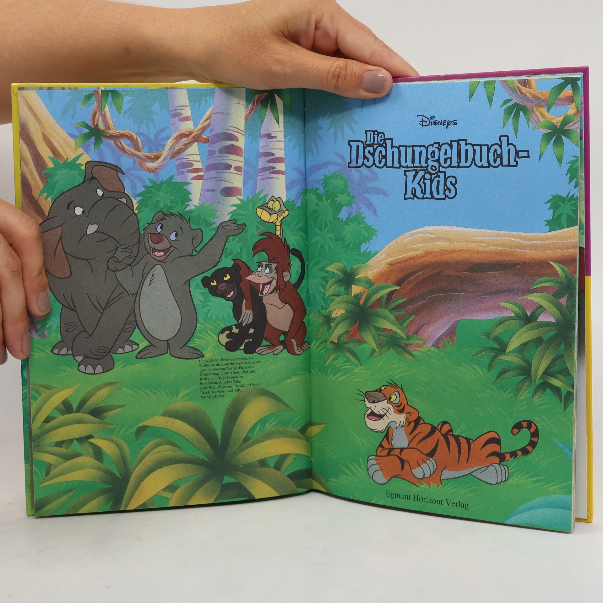 Kolektív autorov Die Dschungelbuch-Kids
