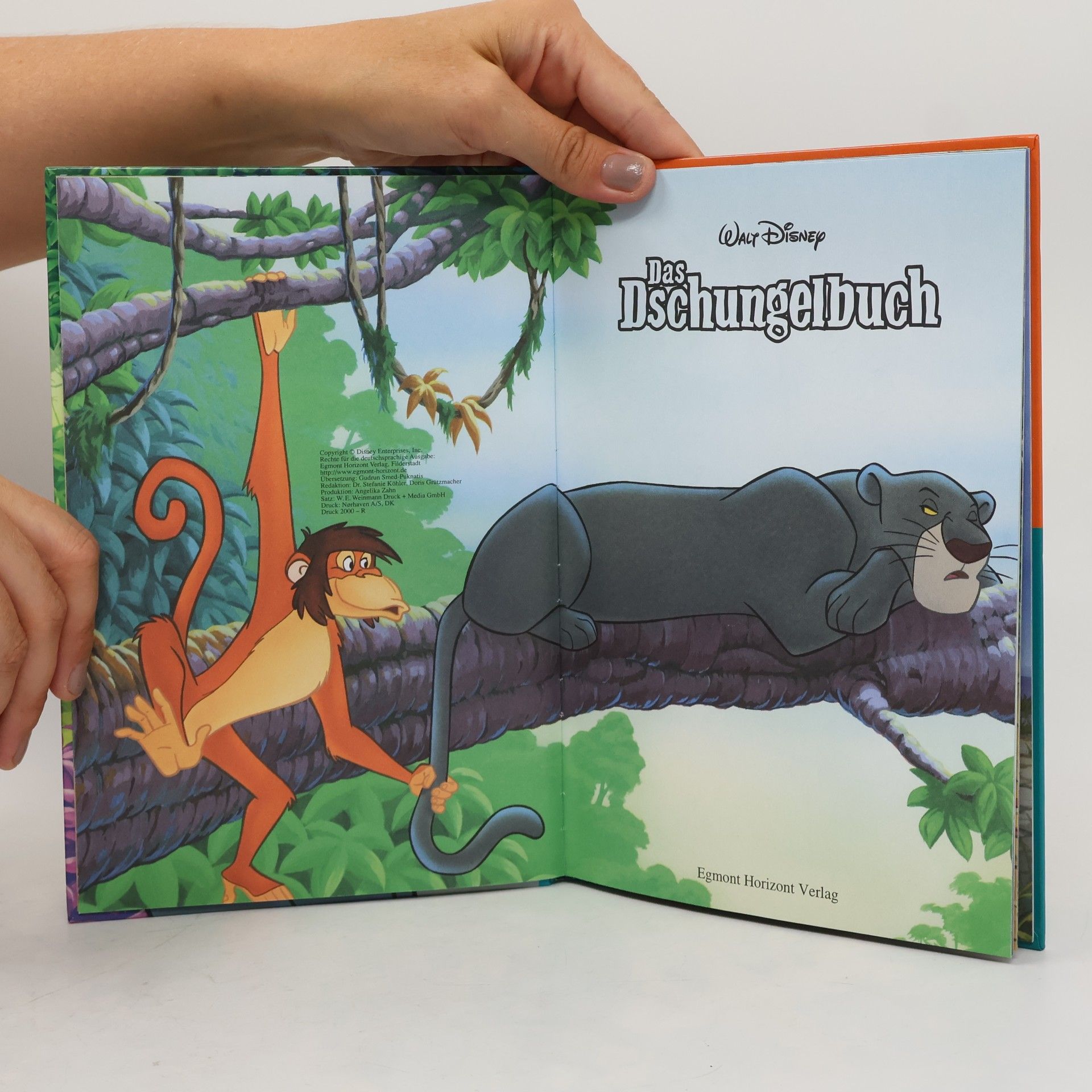 Walt Disney Das Dschungelbuch
