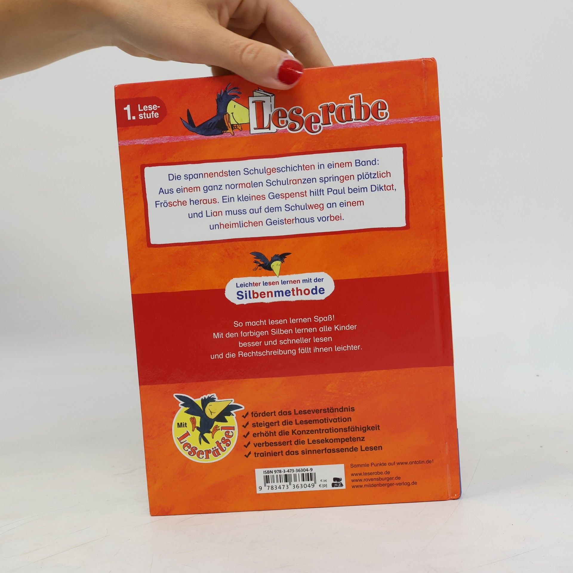 Klaus-Martin Klein Schulgeschichten Silbe für Silbe lesen lernen