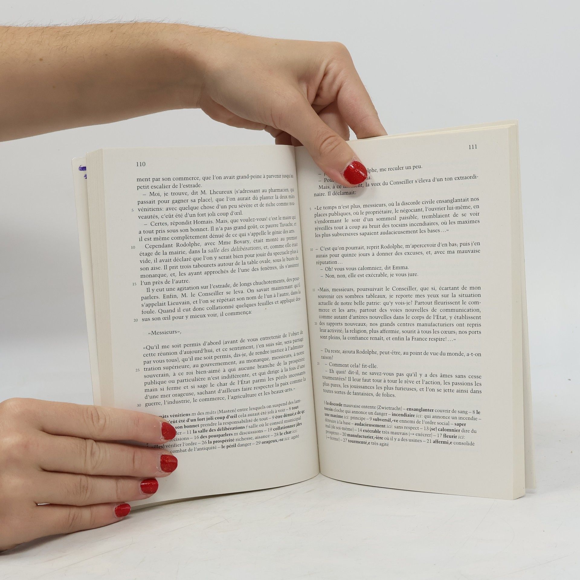 Gustave Flaubert Madame Bovary