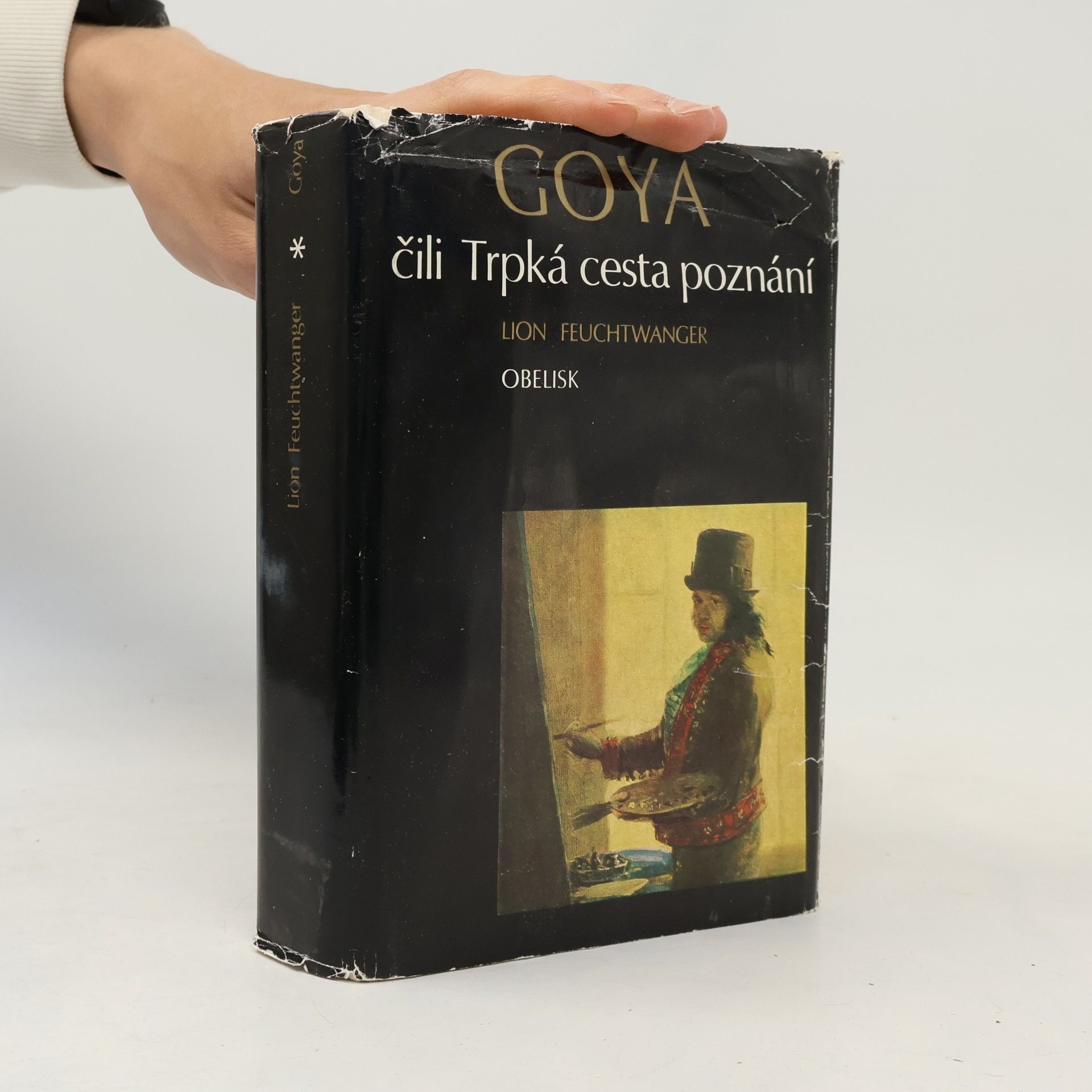 Lion Feuchtwanger Goya čili Trpká cesta poznání