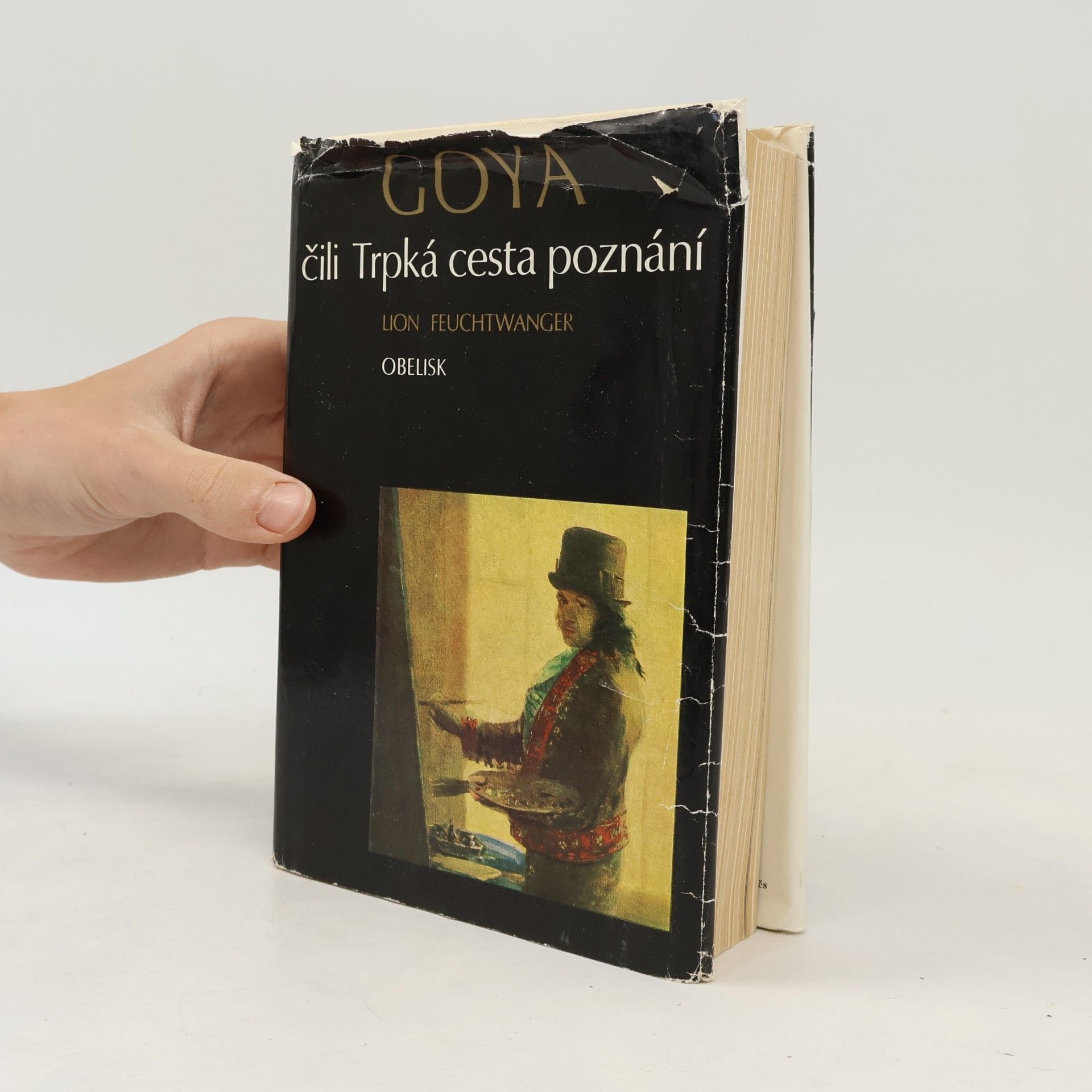 Lion Feuchtwanger Goya čili Trpká cesta poznání