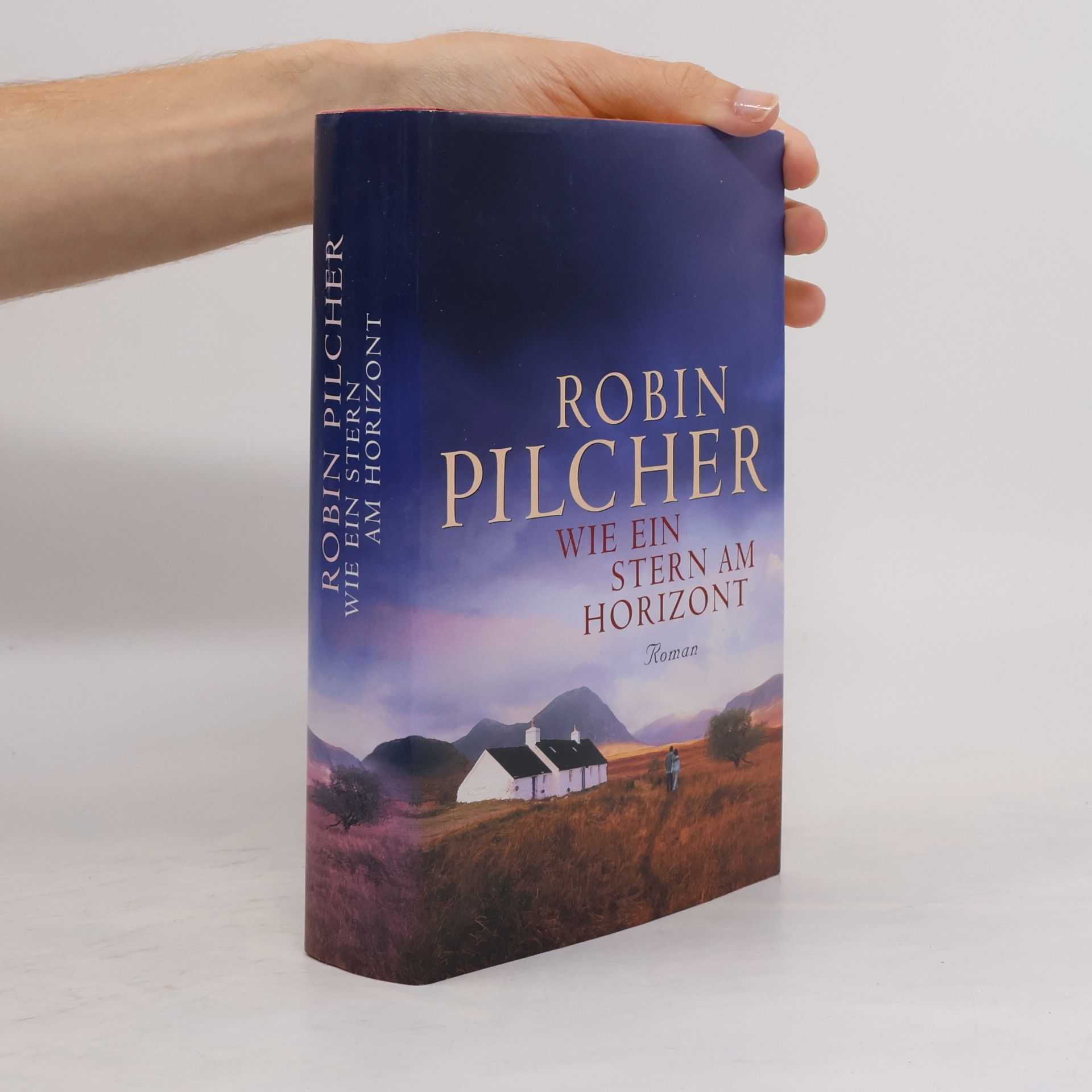 Robin Pilcher Wie ein Stern am Horizont