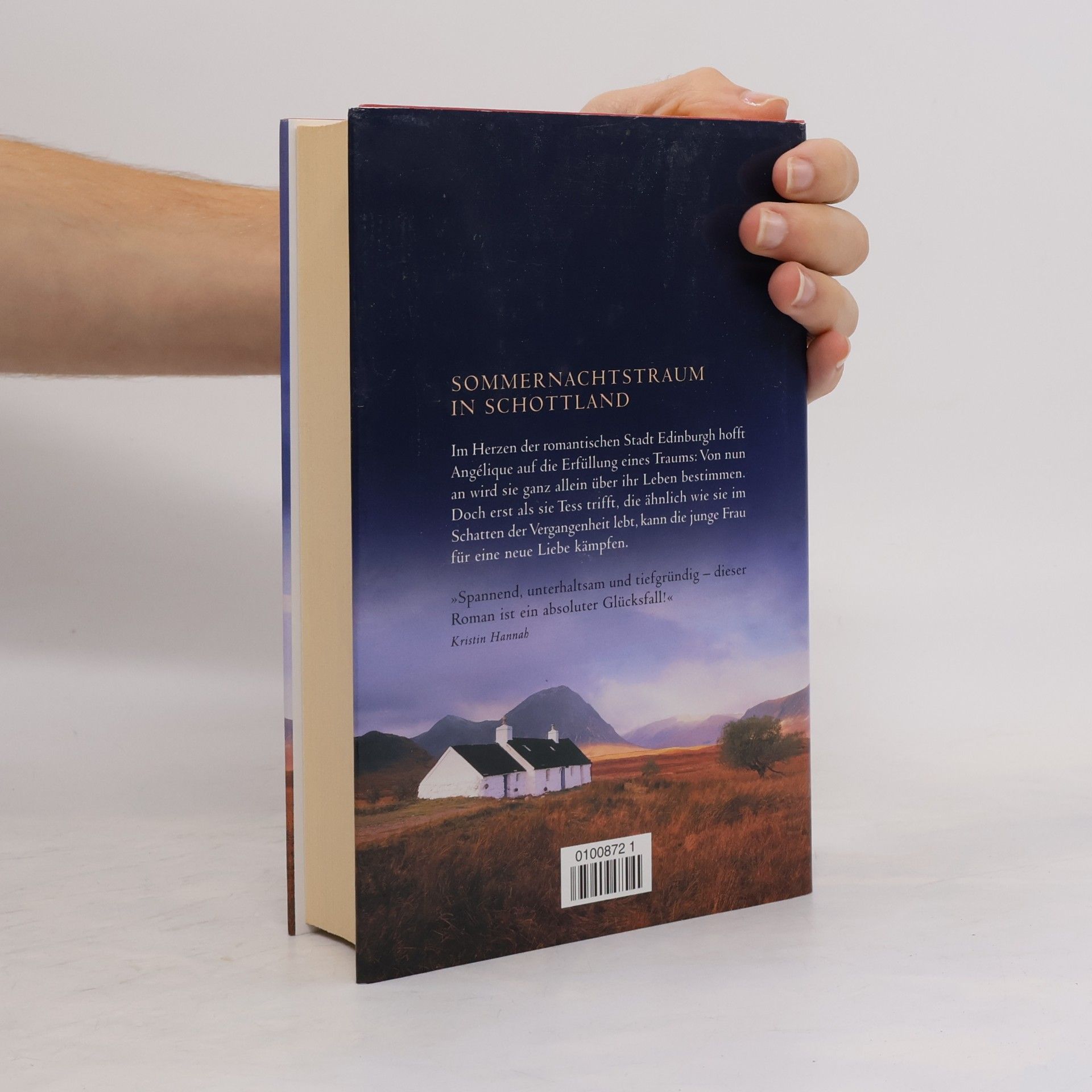 Robin Pilcher Wie ein Stern am Horizont