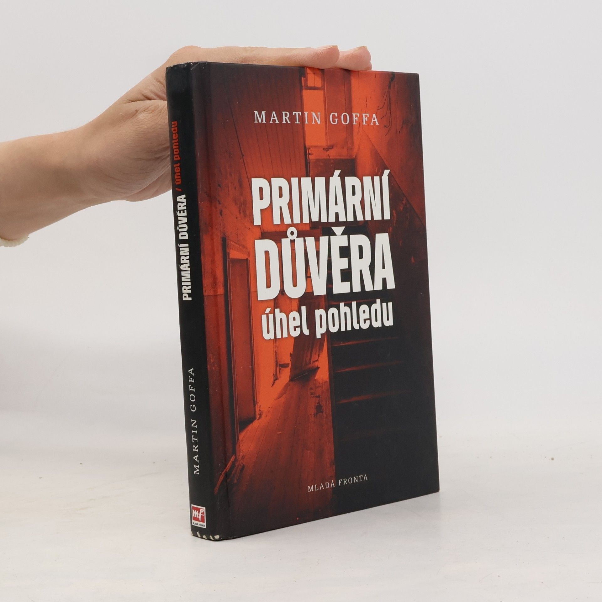 Martin Goffa Primární důvěra - úhel pohledu