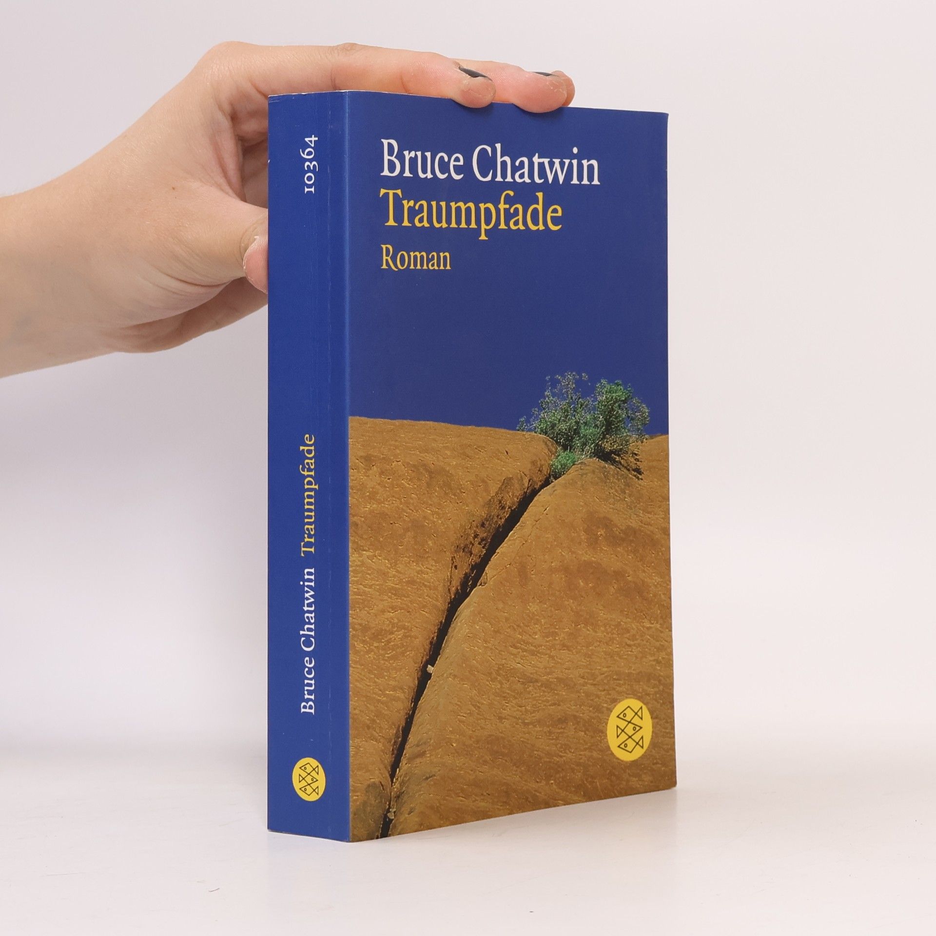 Bruce Chatwin Traumpfade