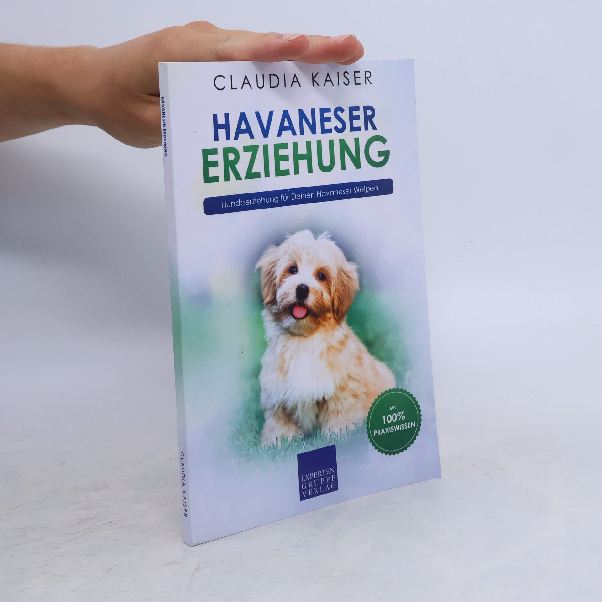 Havaneser Erziehung