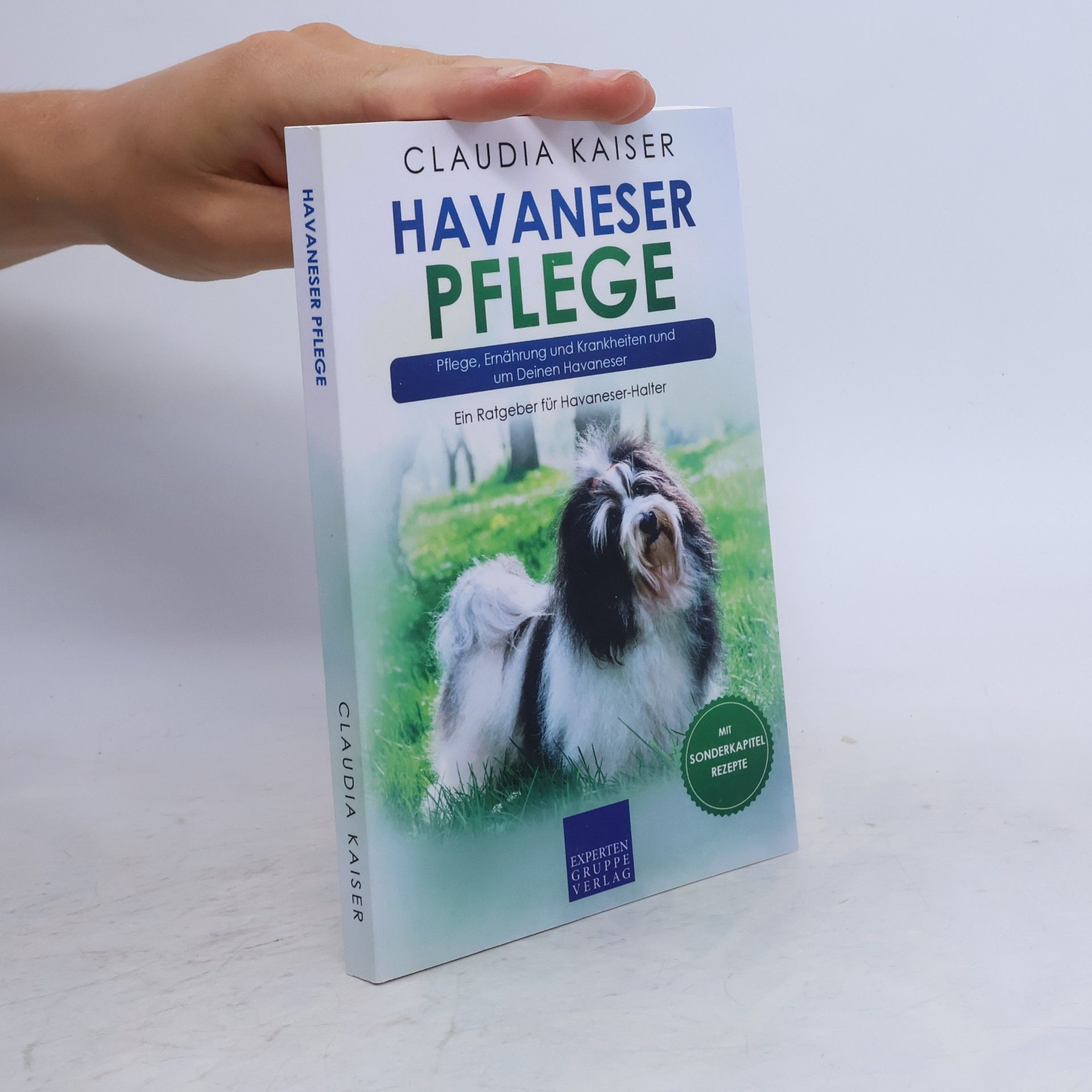 Havaneser Pflege
