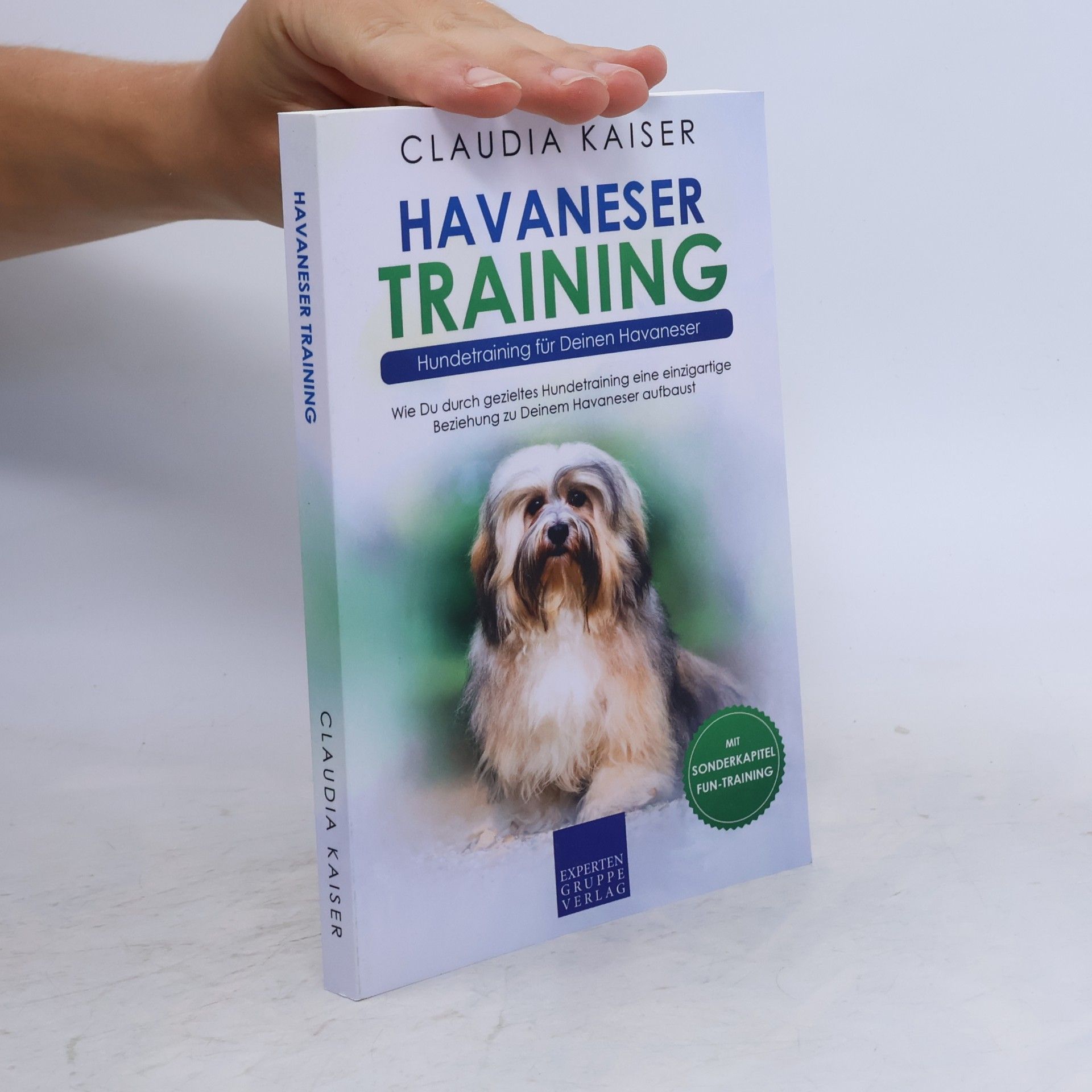 Havaneser Training - Hundetraining für Deinen Havaneser