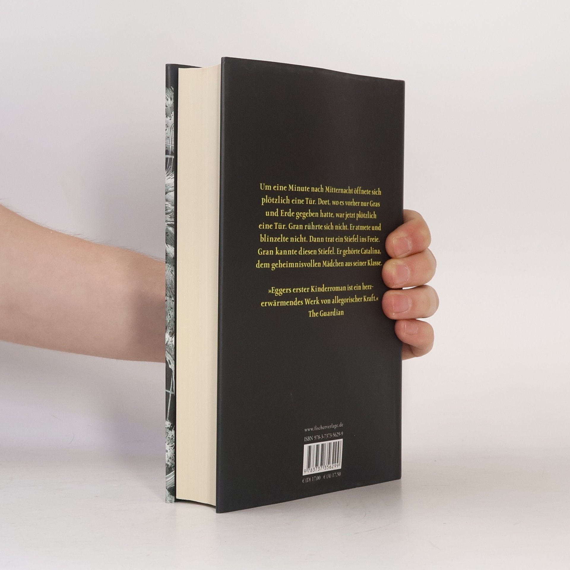 Dave Eggers Die Mitternachtstür