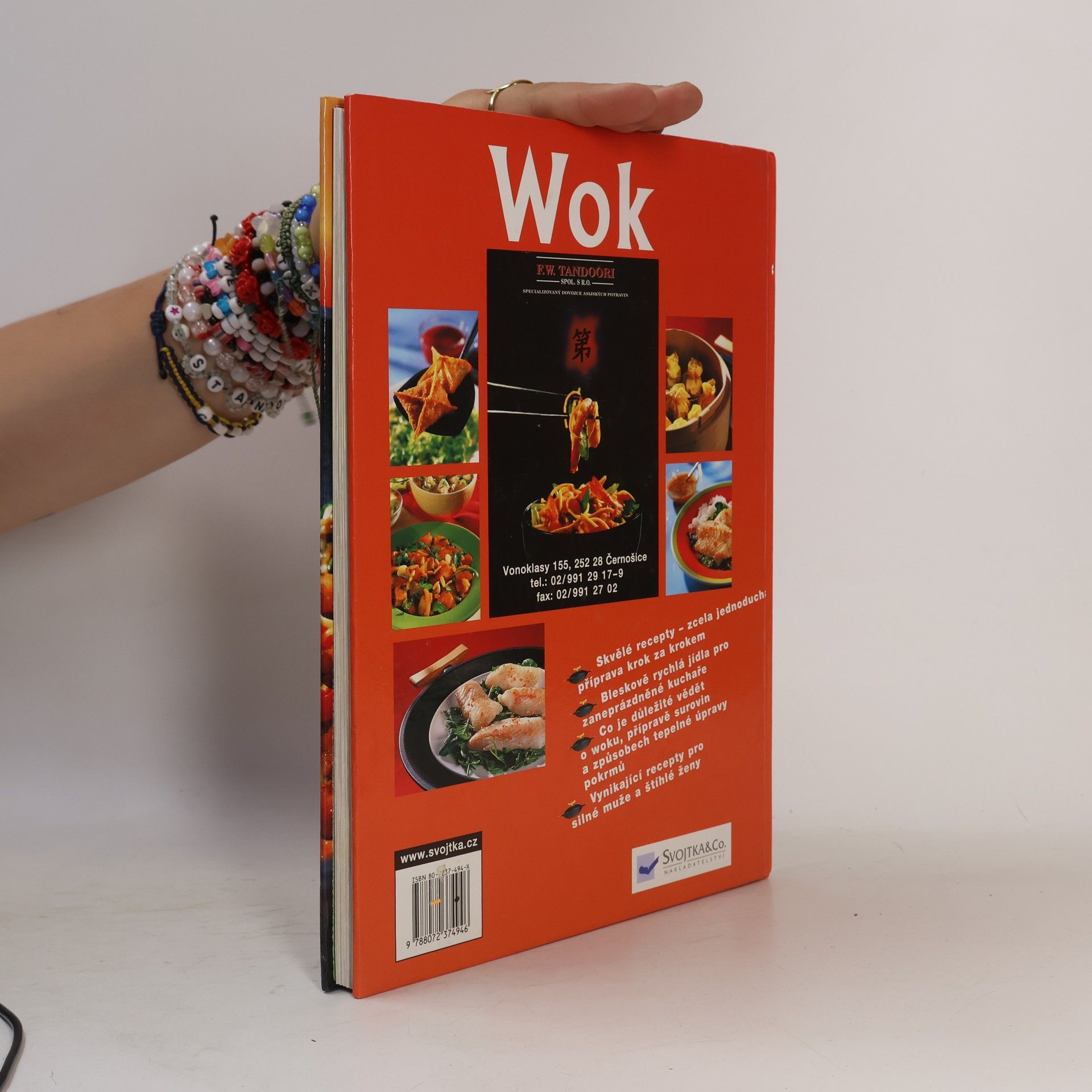 Angelika Ilies Wok snadno a rychle