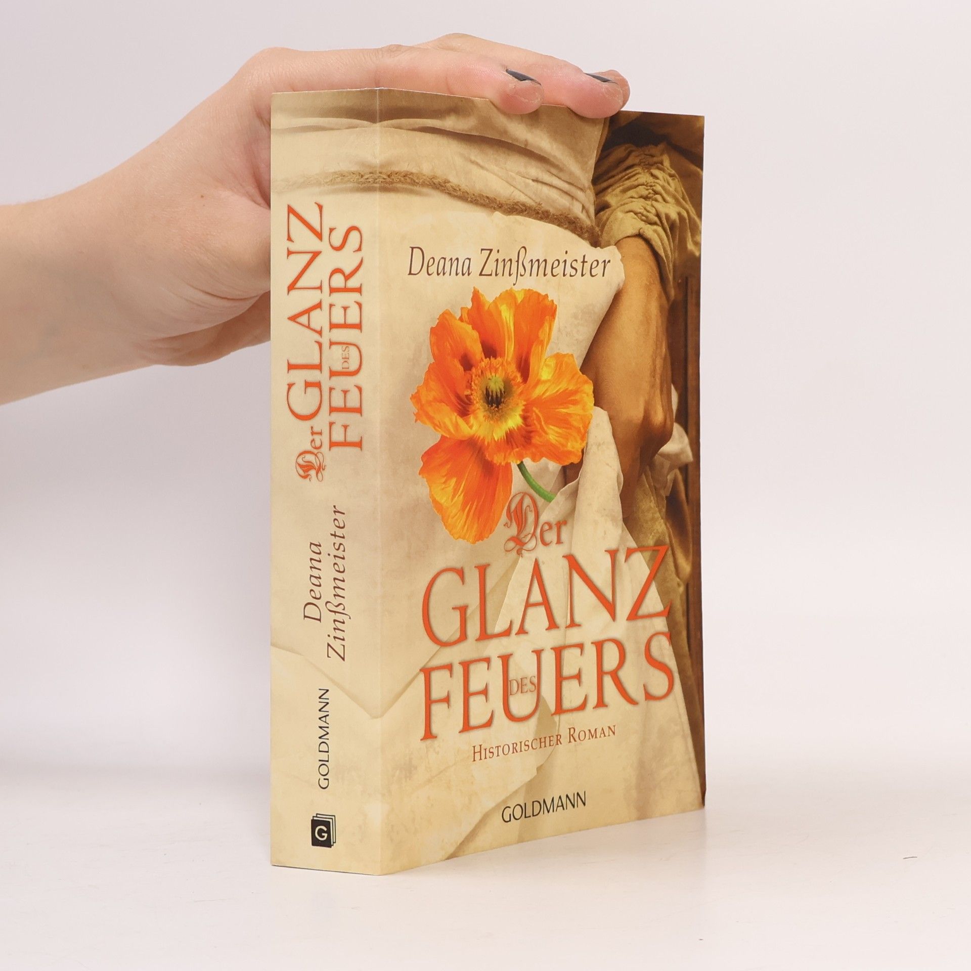 Deana Zinßmeister Der Glanz des Feuers