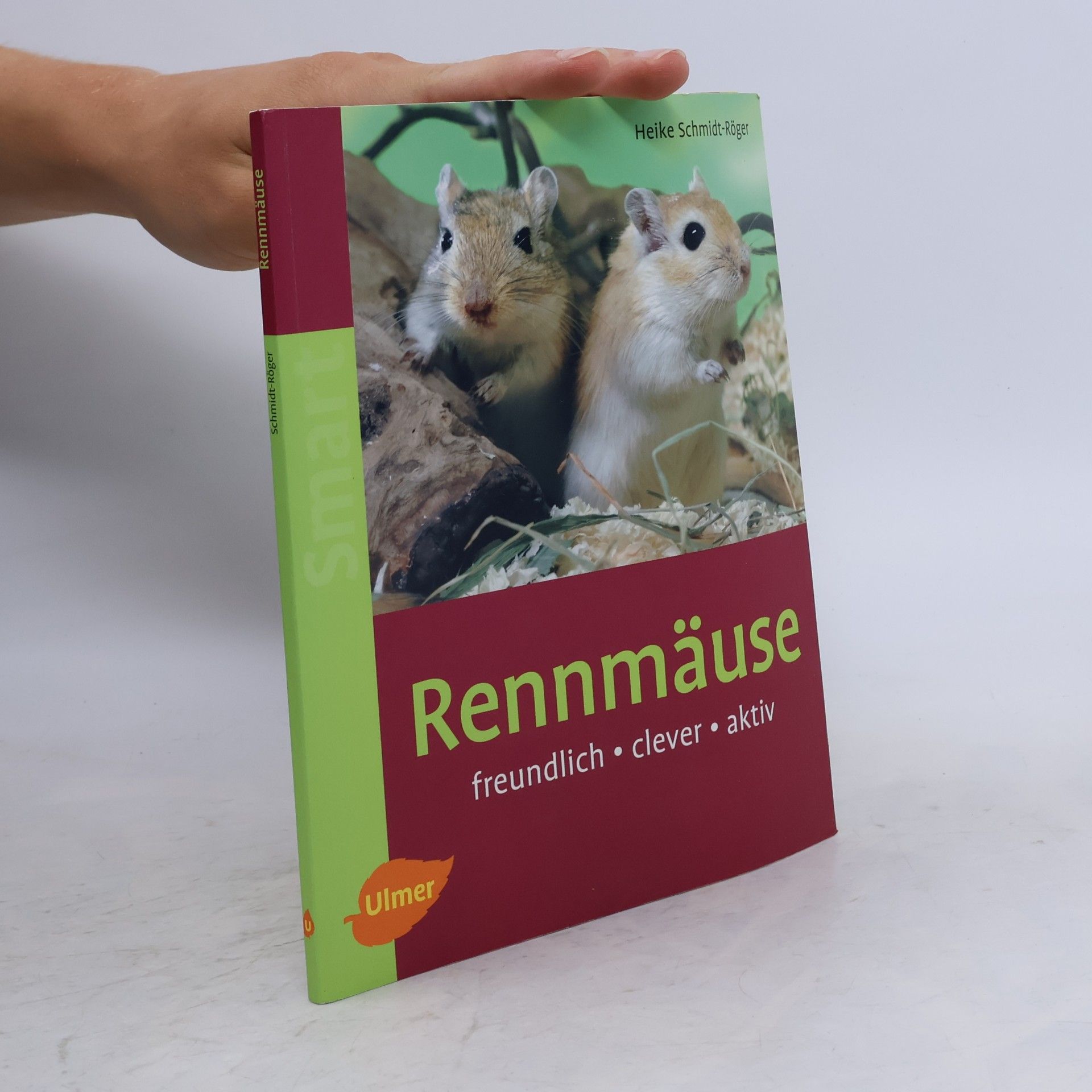 Heike Schmidt-Röger Rennmäuse: freundlich - clever - aktiv