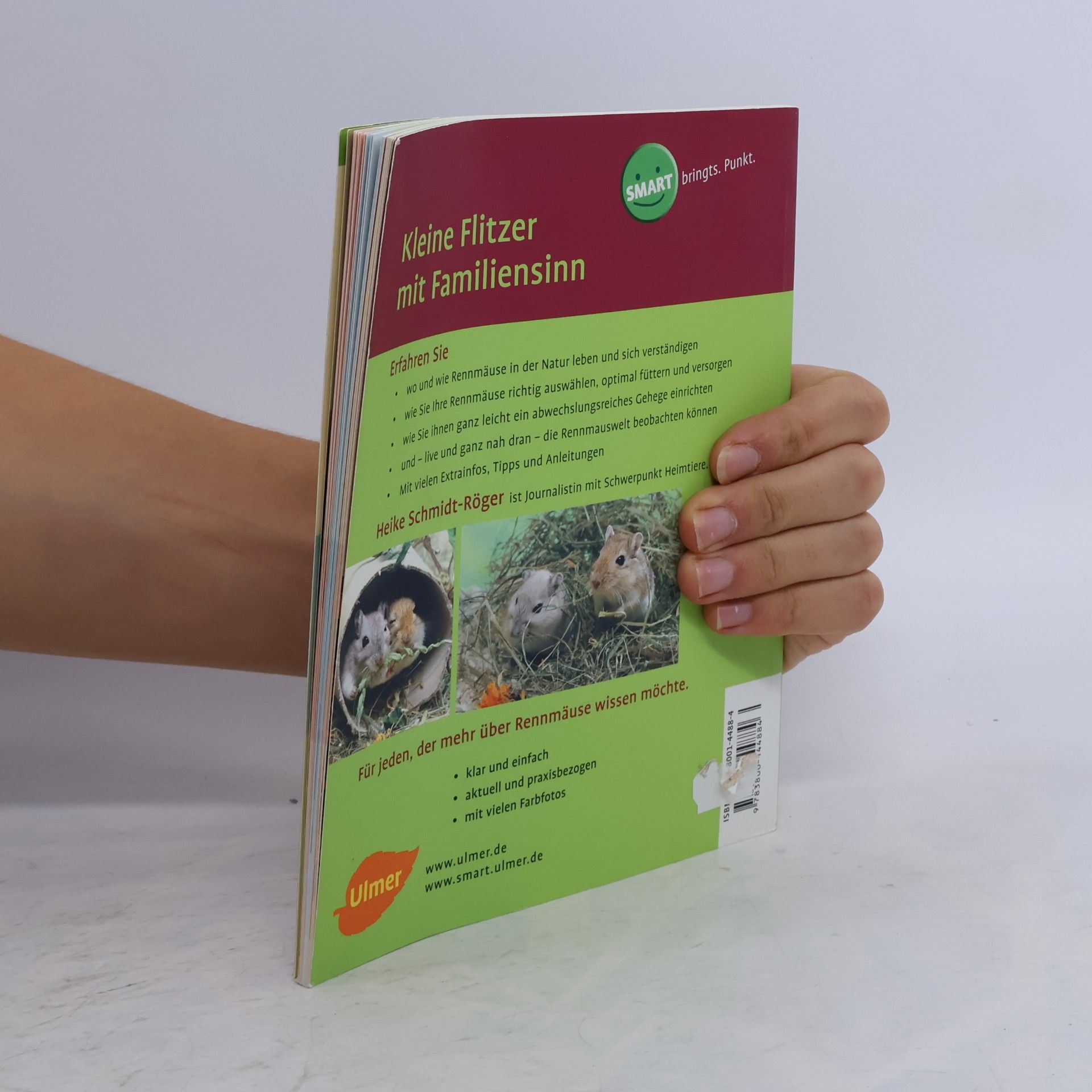 Heike Schmidt-Röger Rennmäuse: freundlich - clever - aktiv