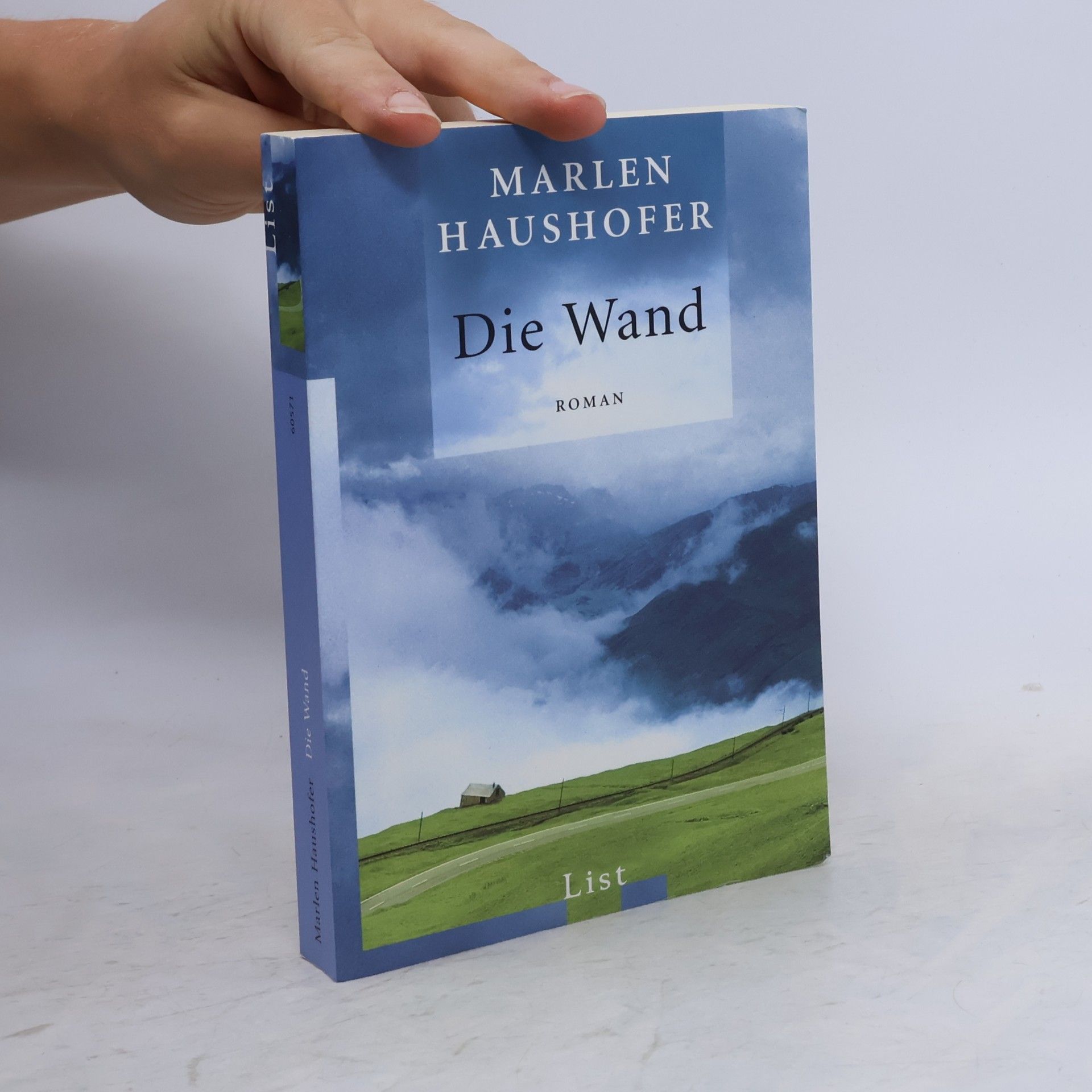 Marlen Haushofer Die Wand
