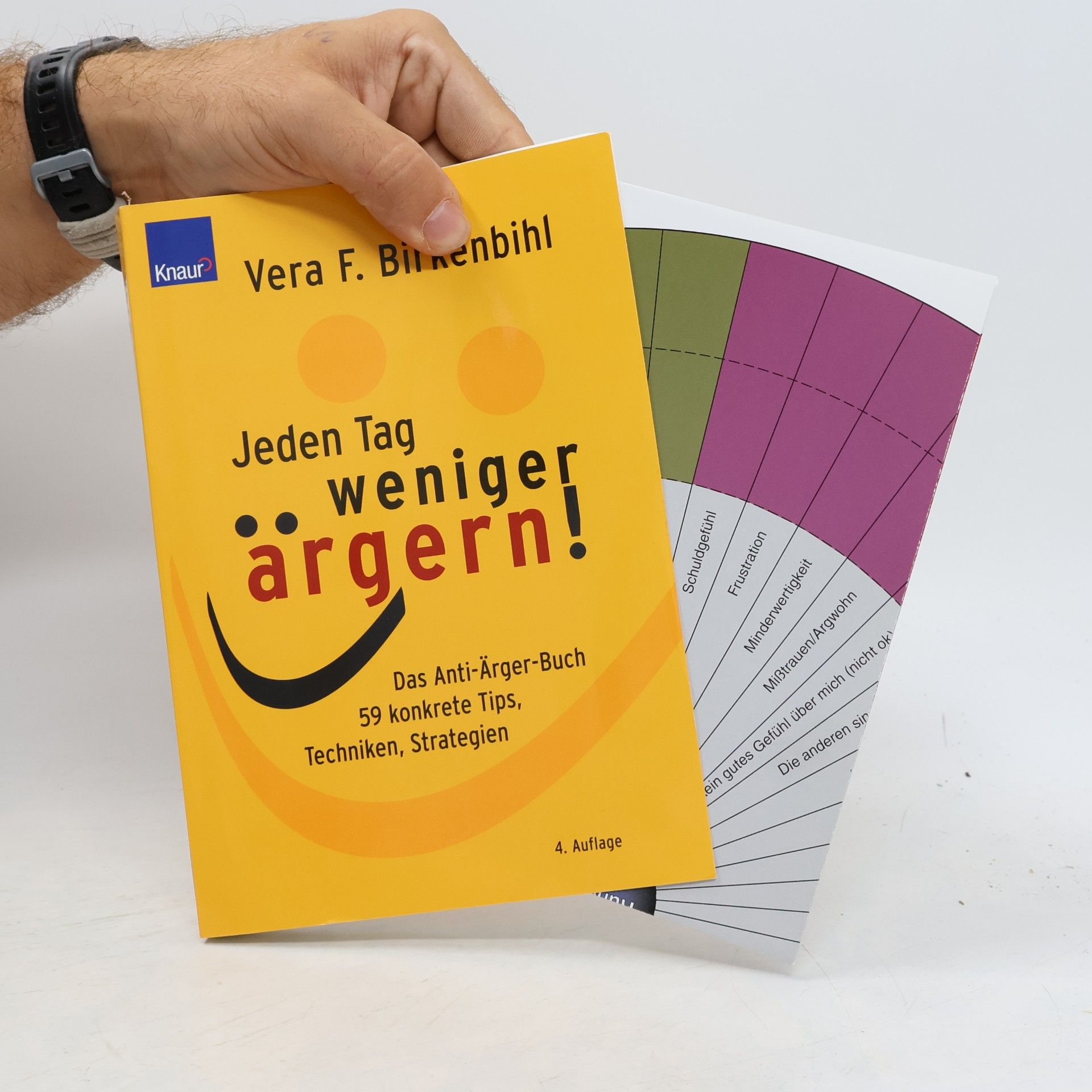 Vera F. Birkenbihl Jeden Tag weniger ärgern