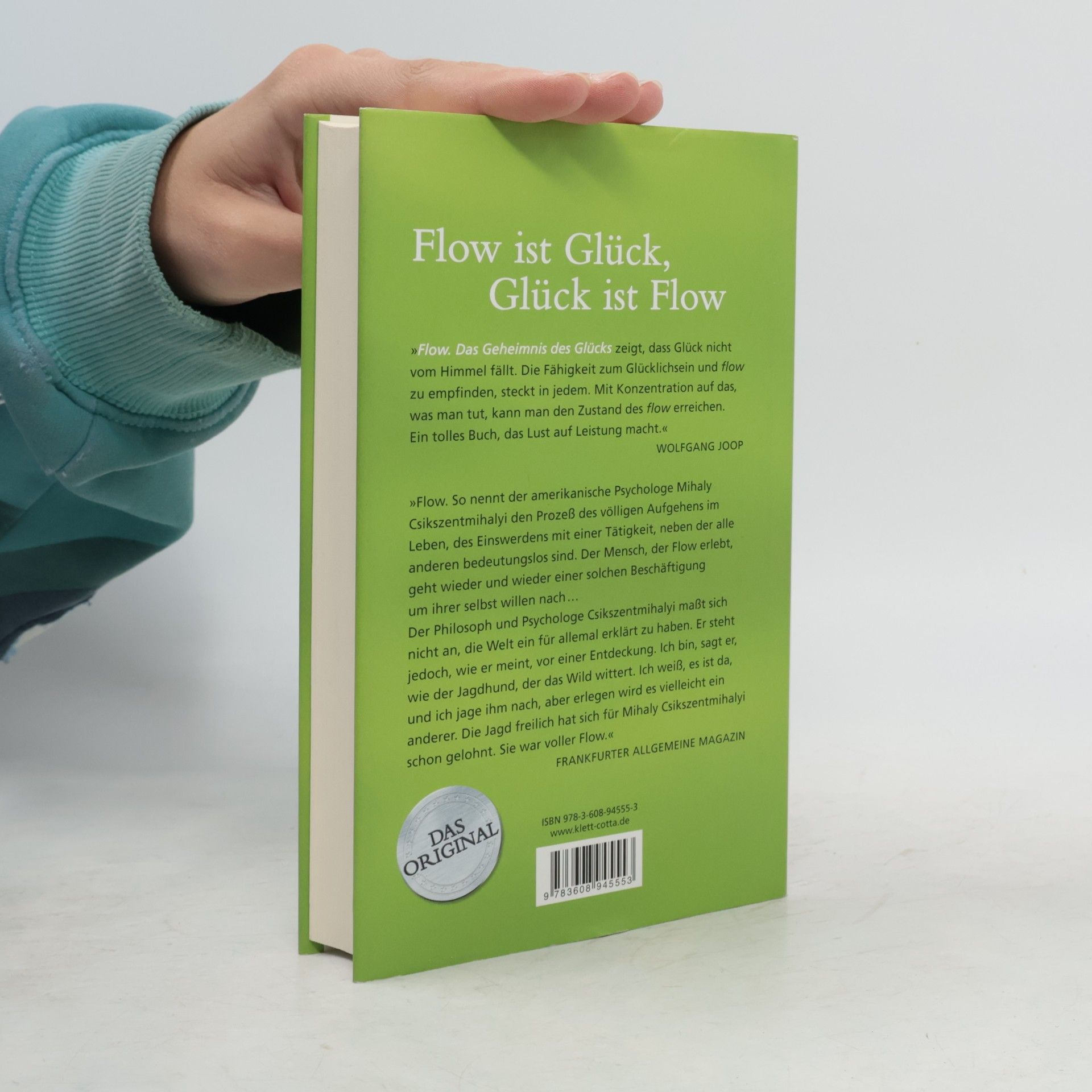 Mihaly Csikszentmihalyi Flow
