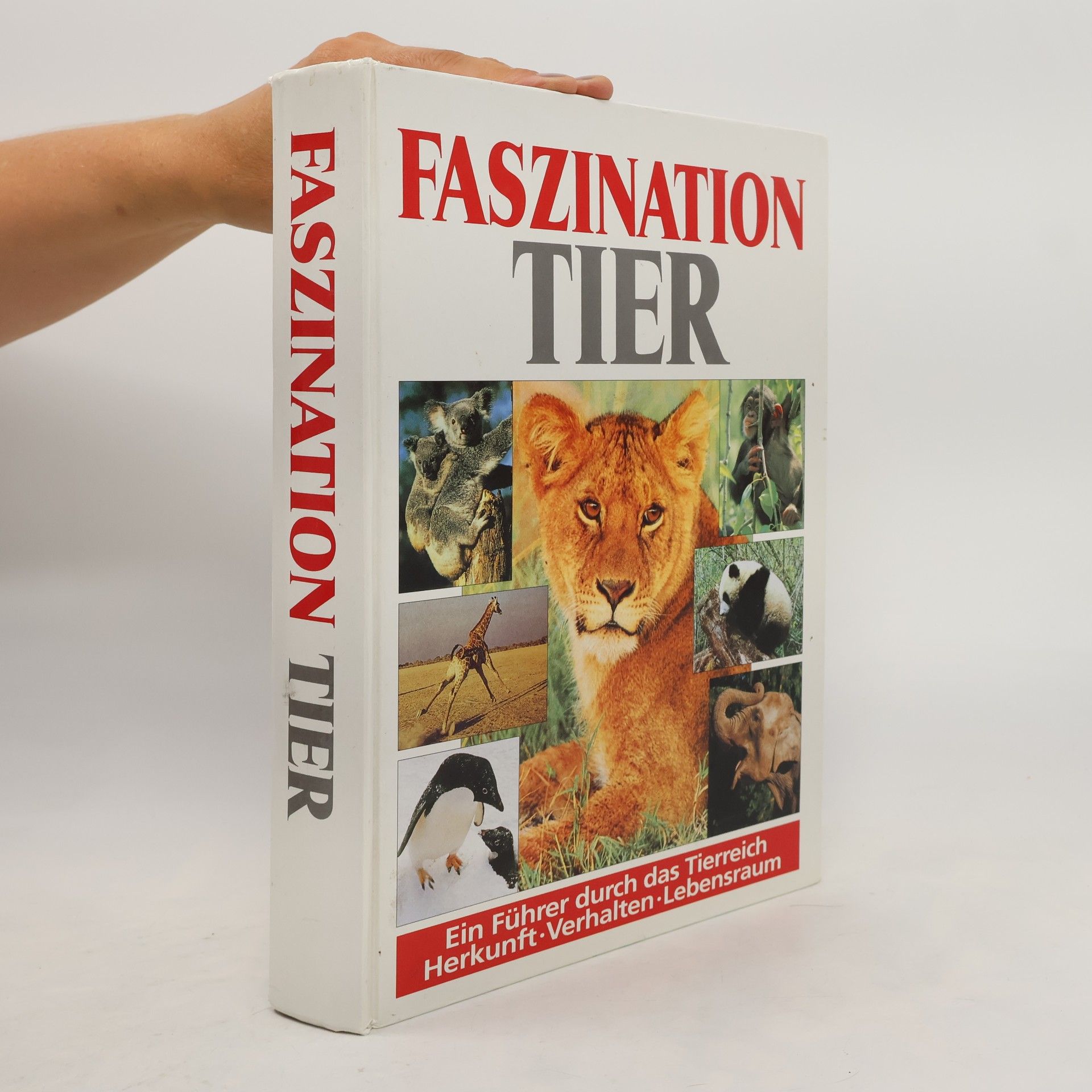 Autorenkollektiv Faszination Tier
