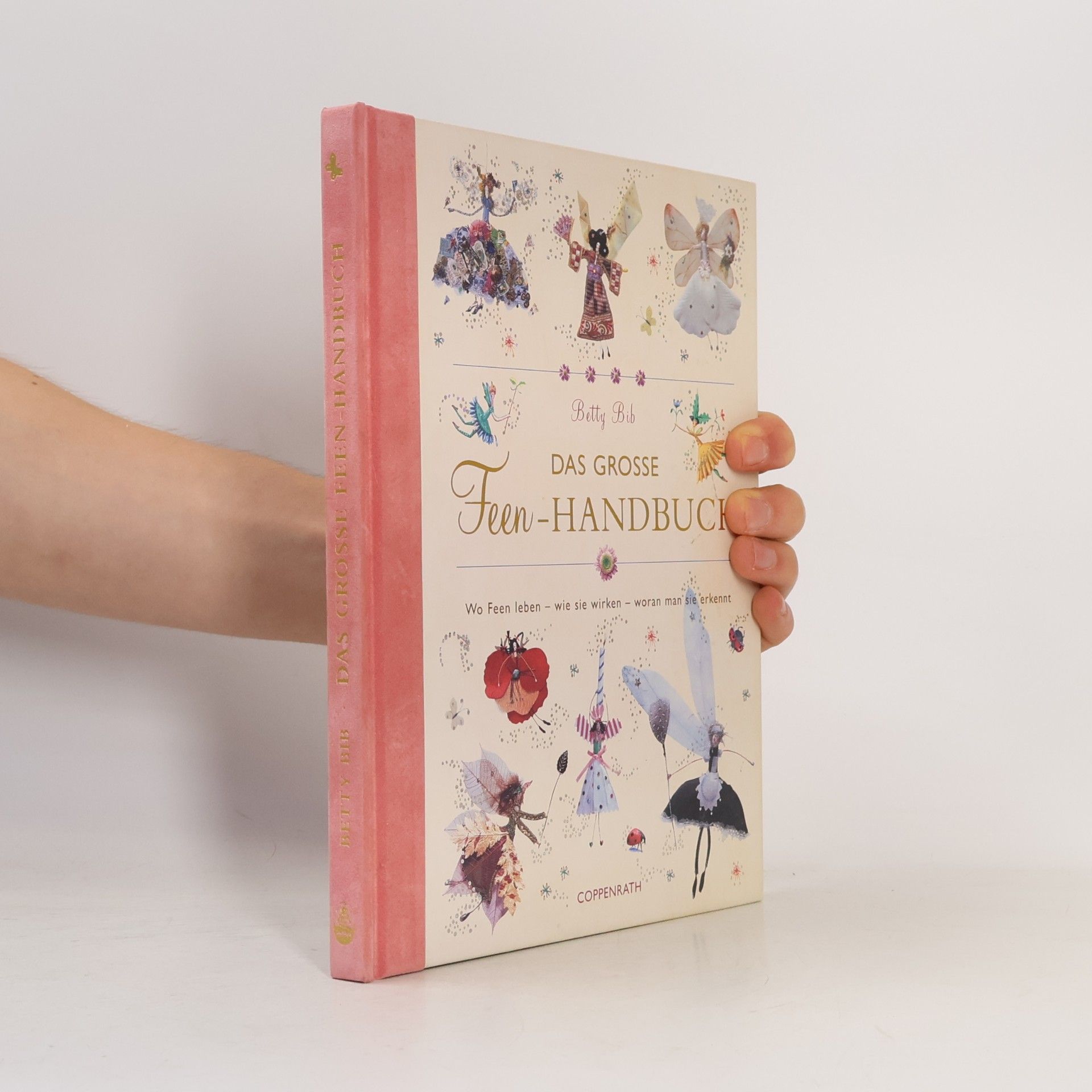 Betty Bib Das grosse Feen-Handbuch