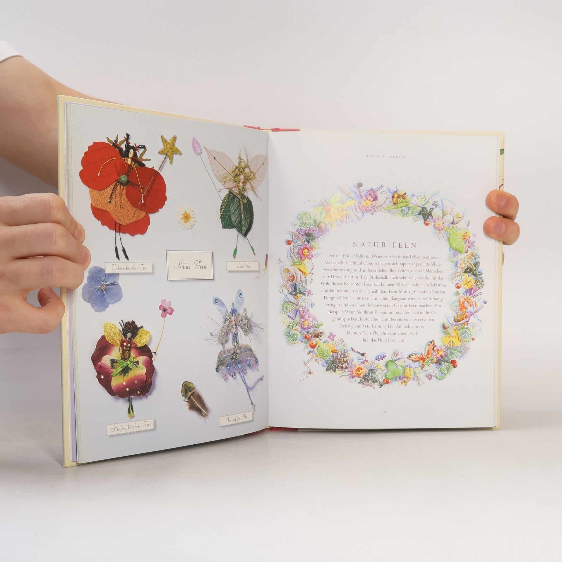 Betty Bib Das grosse Feen-Handbuch