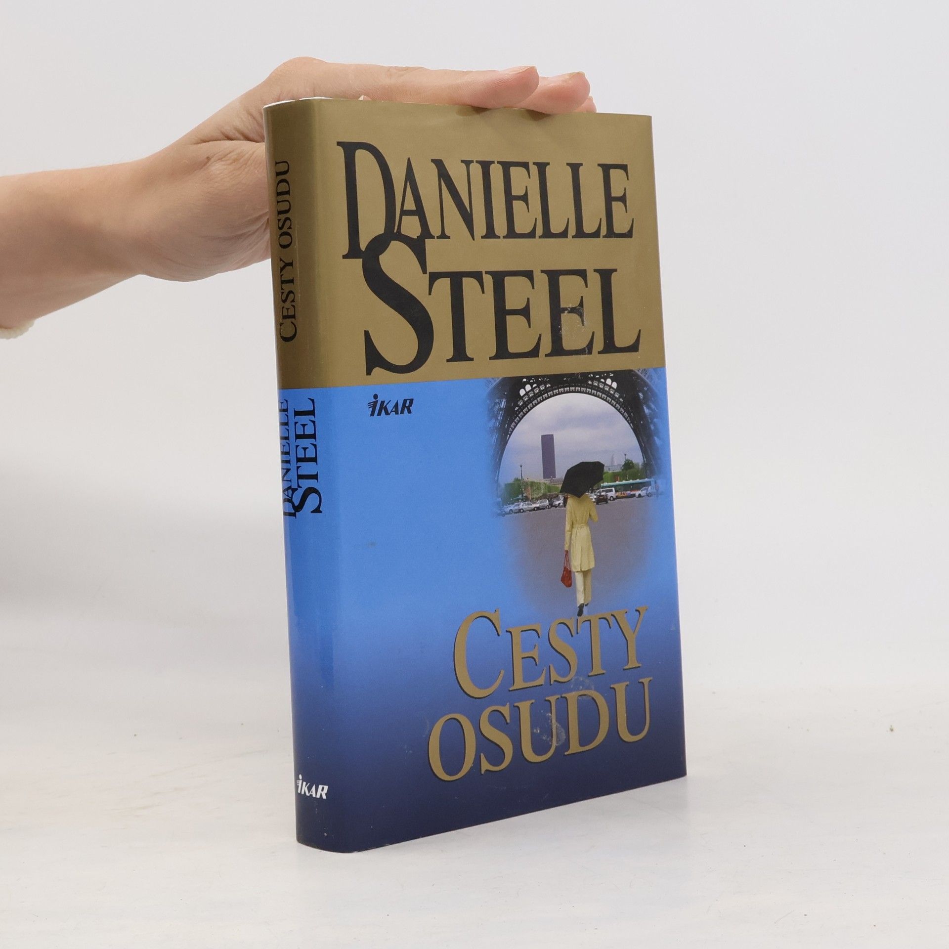 Danielle Steel Cesty osudu