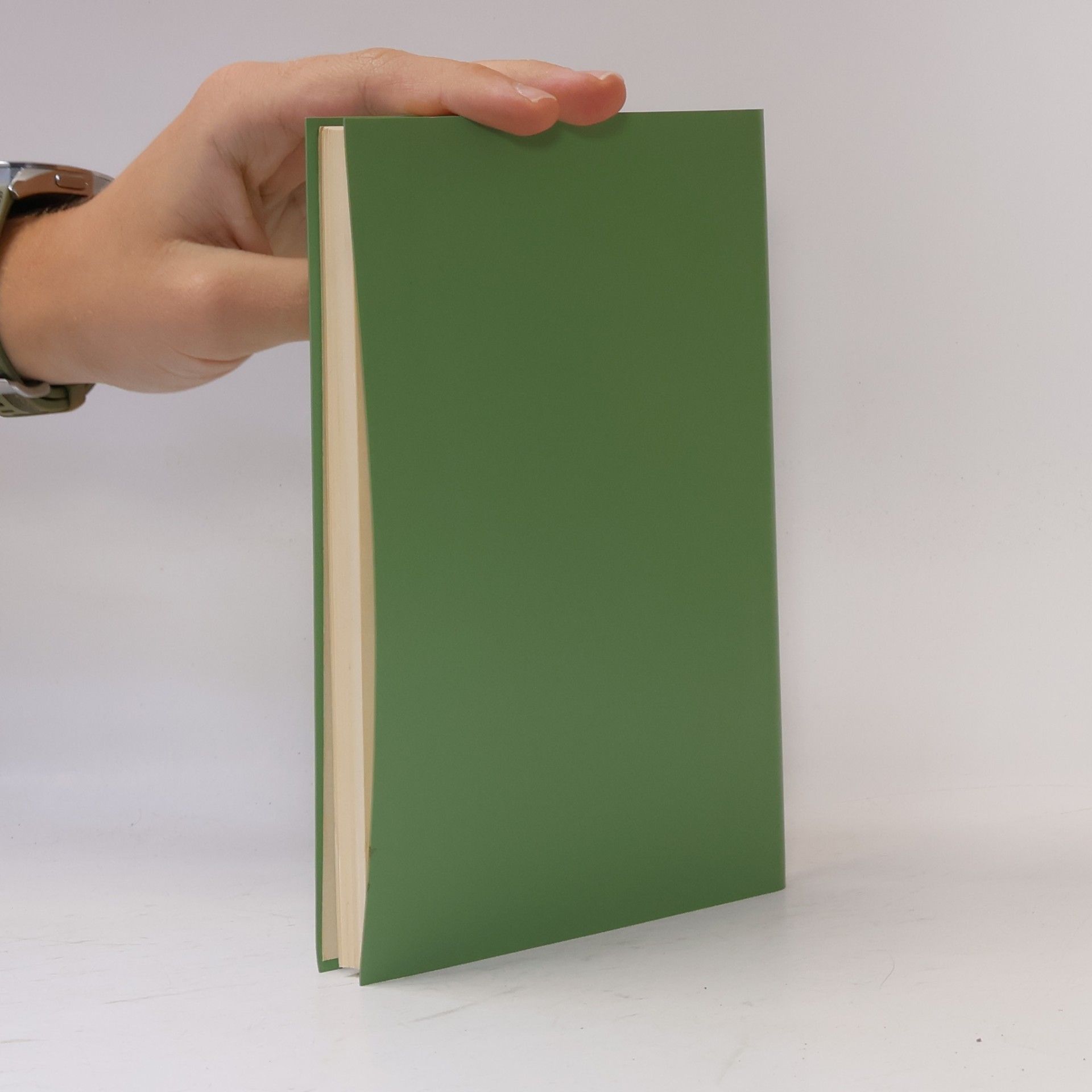 Ernst Cassirer Idee und Gestalt
