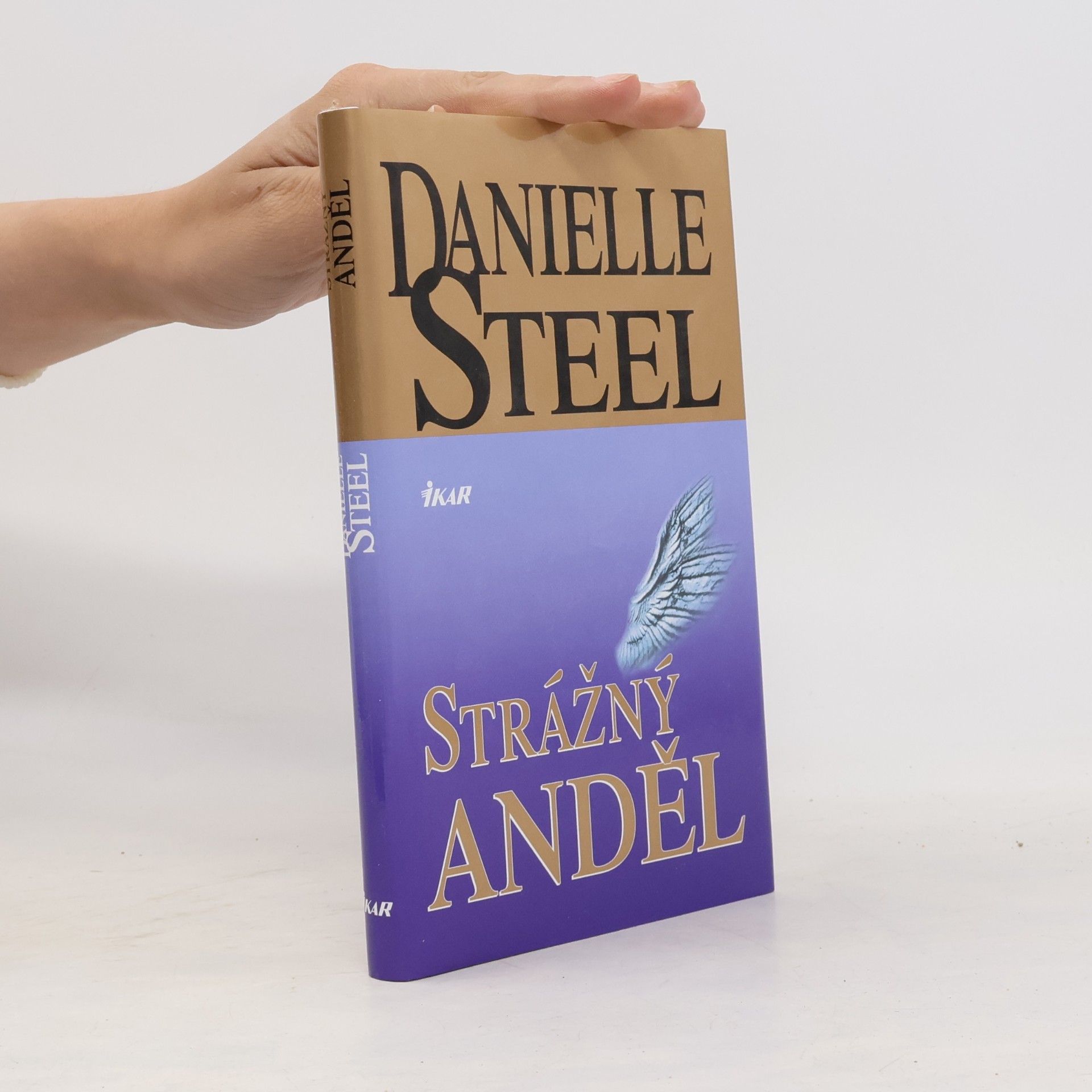 Danielle Steel Strážný anděl