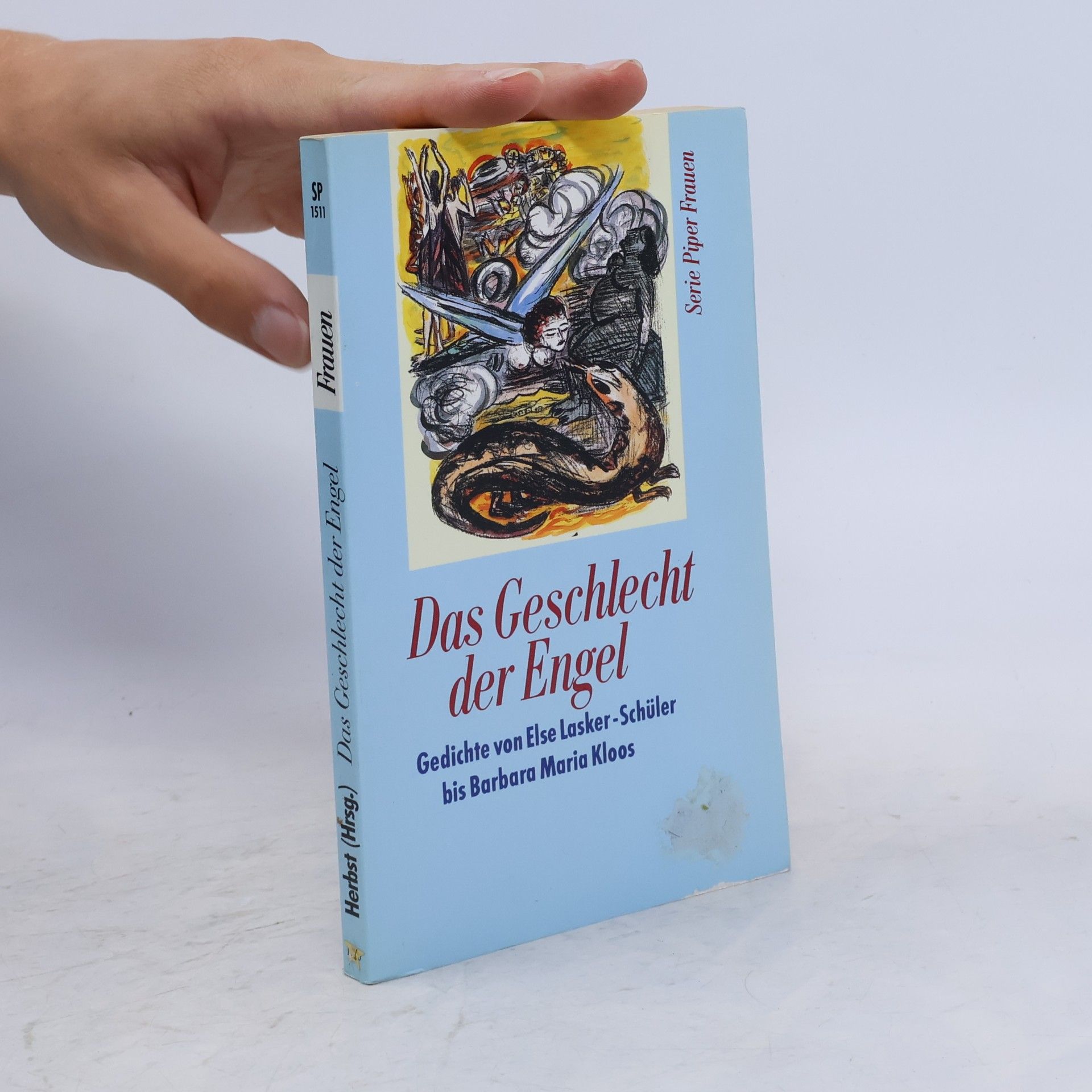 Das Geschlecht der Engel. Gedichte von Else Lasker-Schüler bis Barbara Maria Kloos