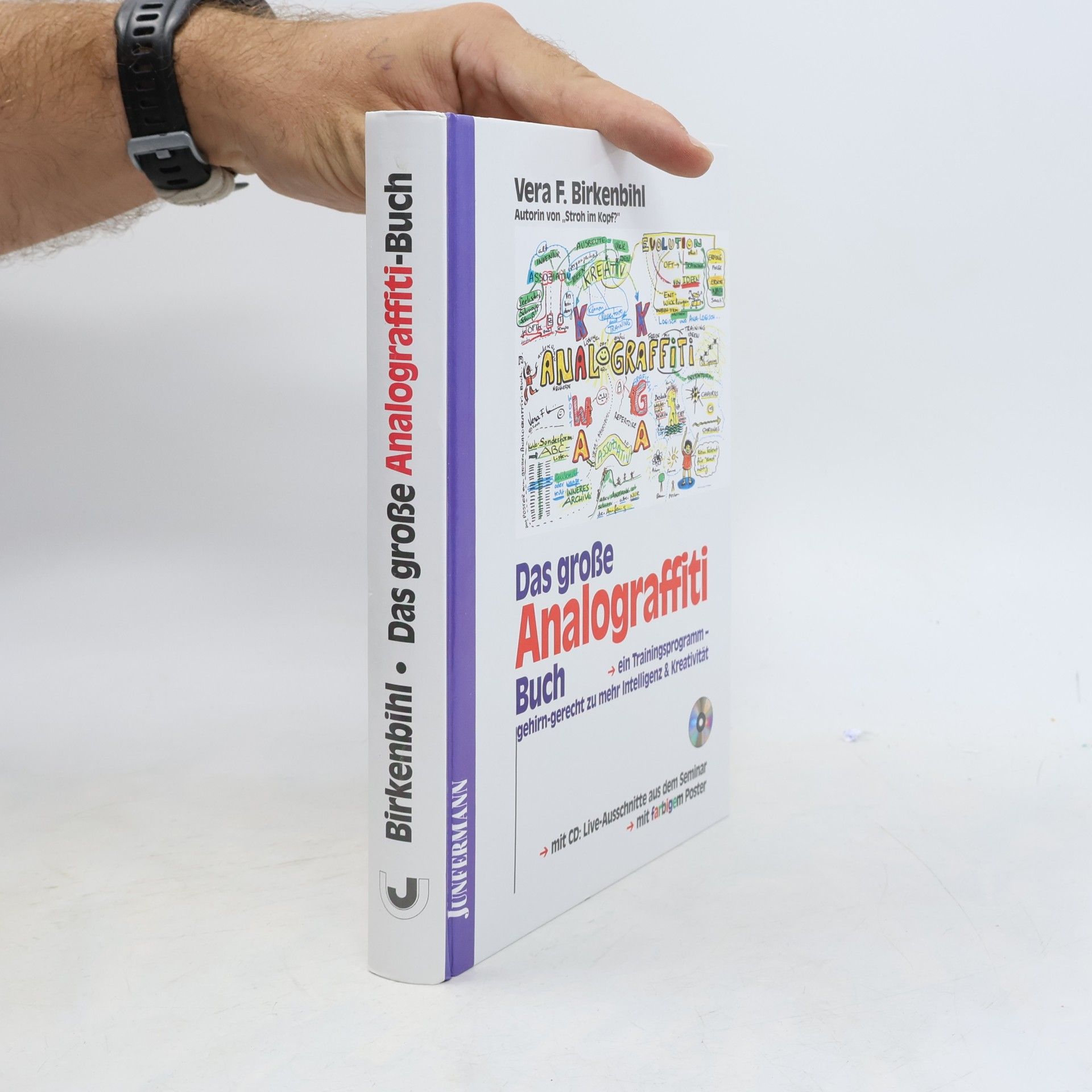 Autorenkollektiv Das große Analograffiti-Buch