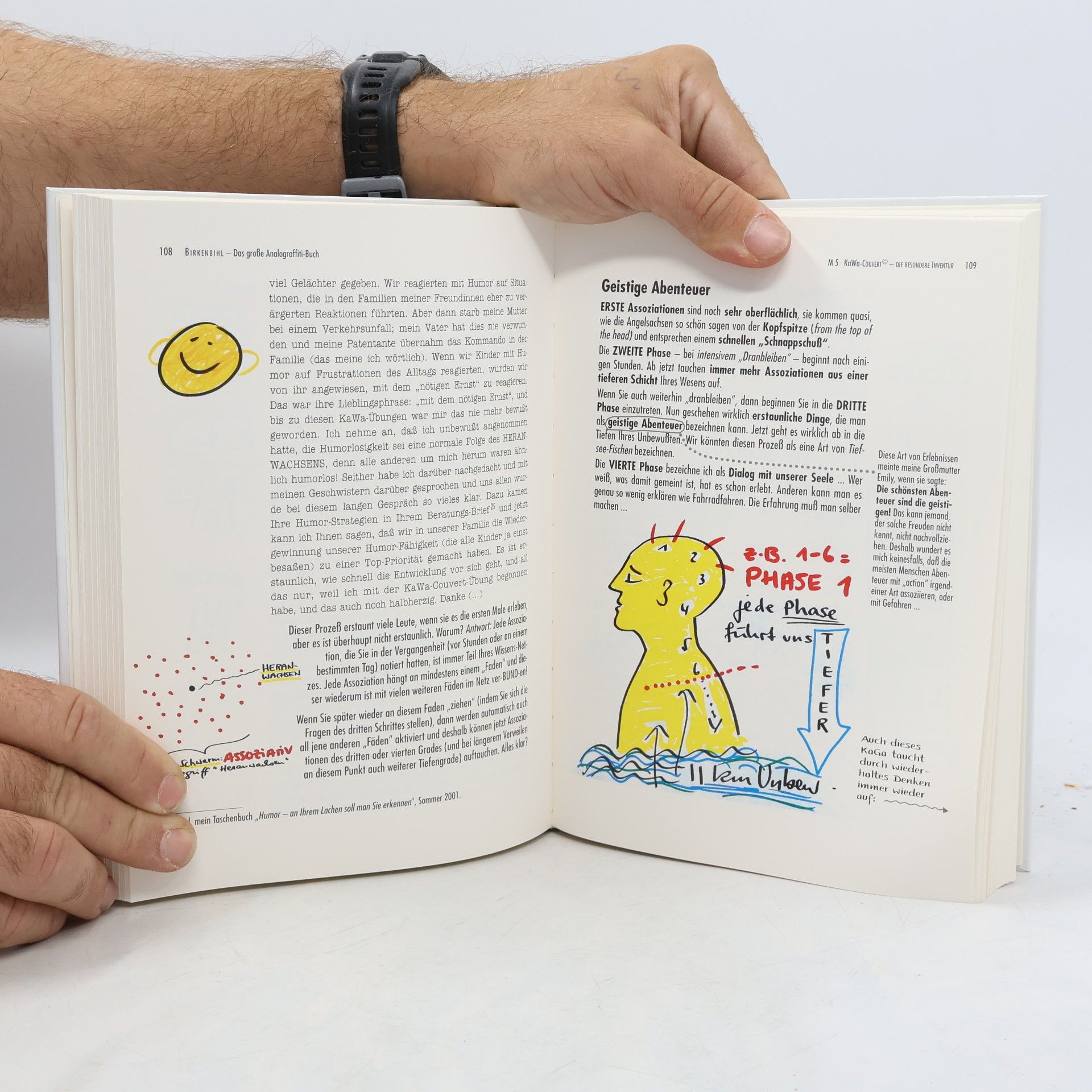 Das große Analograffiti-Buch