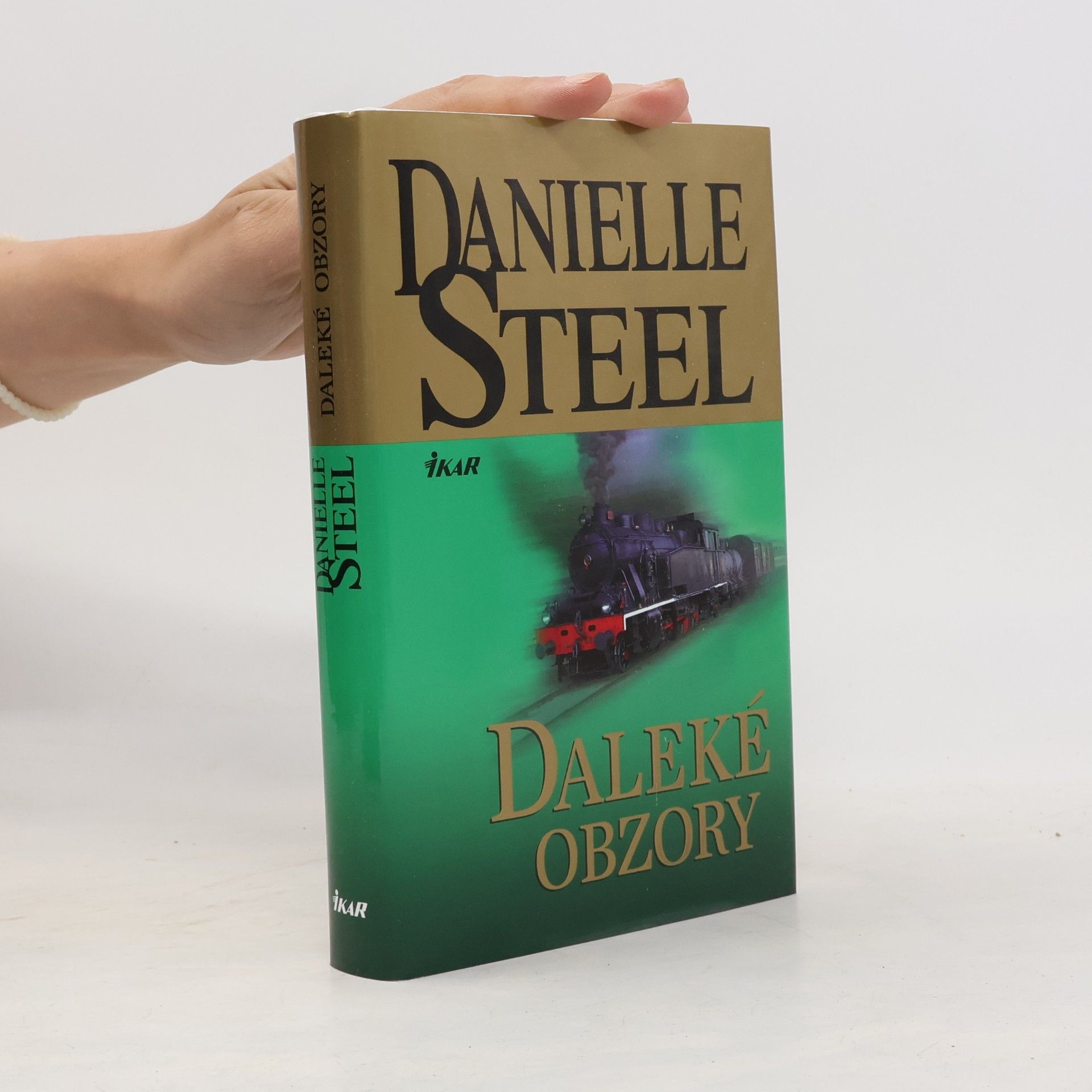 Danielle Steel Daleké obzory