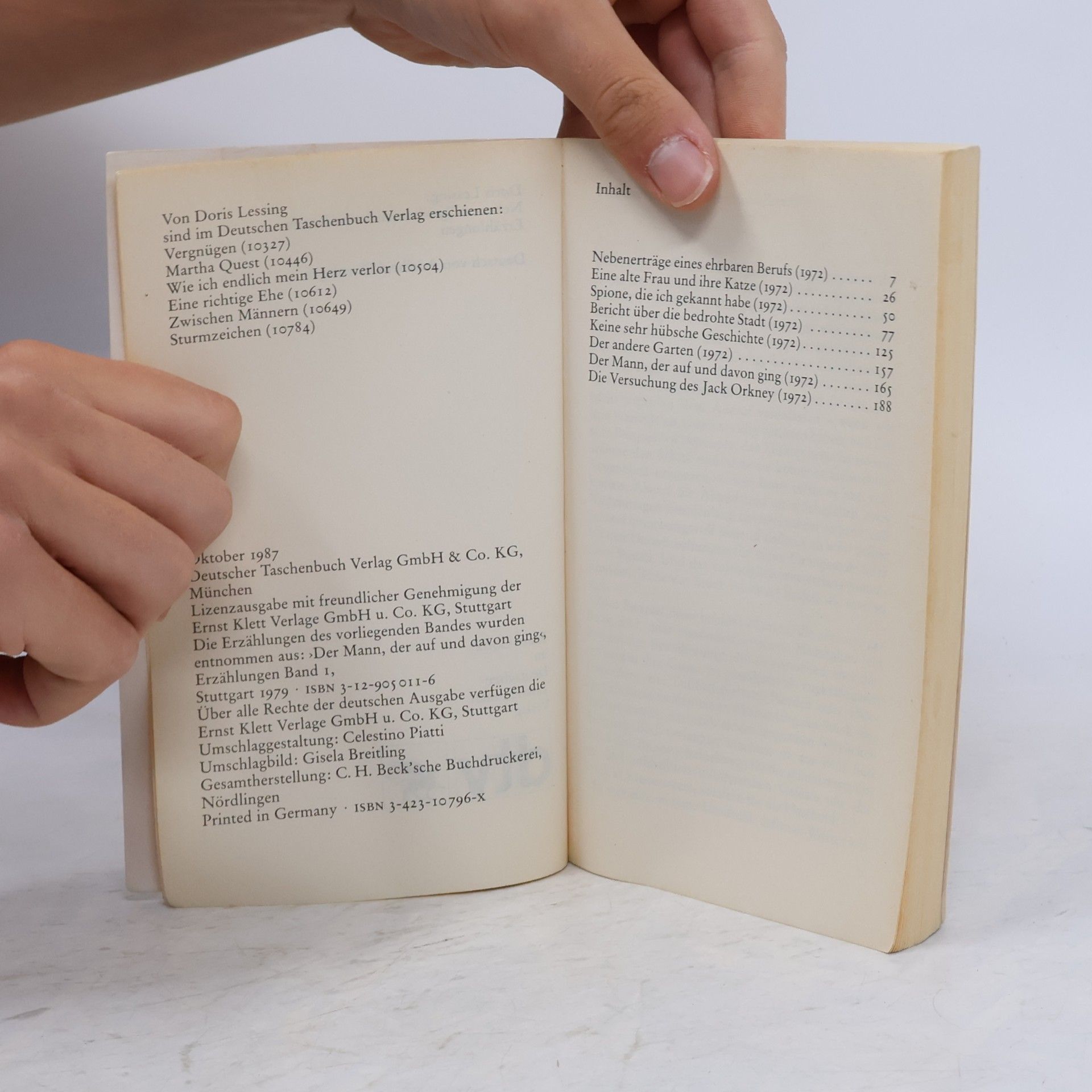 Doris Lessing Nebenerträge eines ehrbaren Berufs Erzählungen