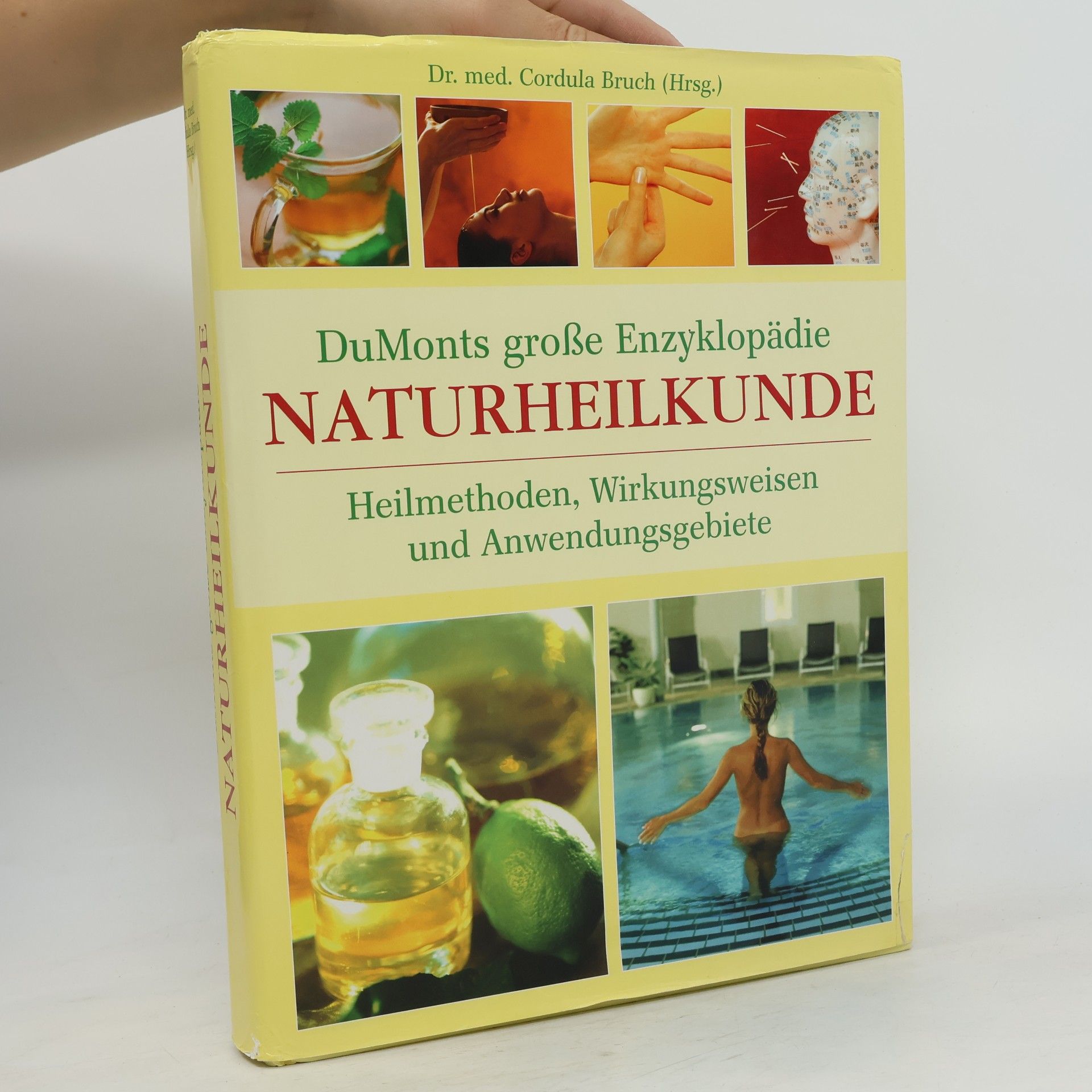 Cordula Bruch DuMonts große Enzyklopädie Naturheilkunde: Heilmethoden, Wirkungsweisen und Anwendungsgebiete