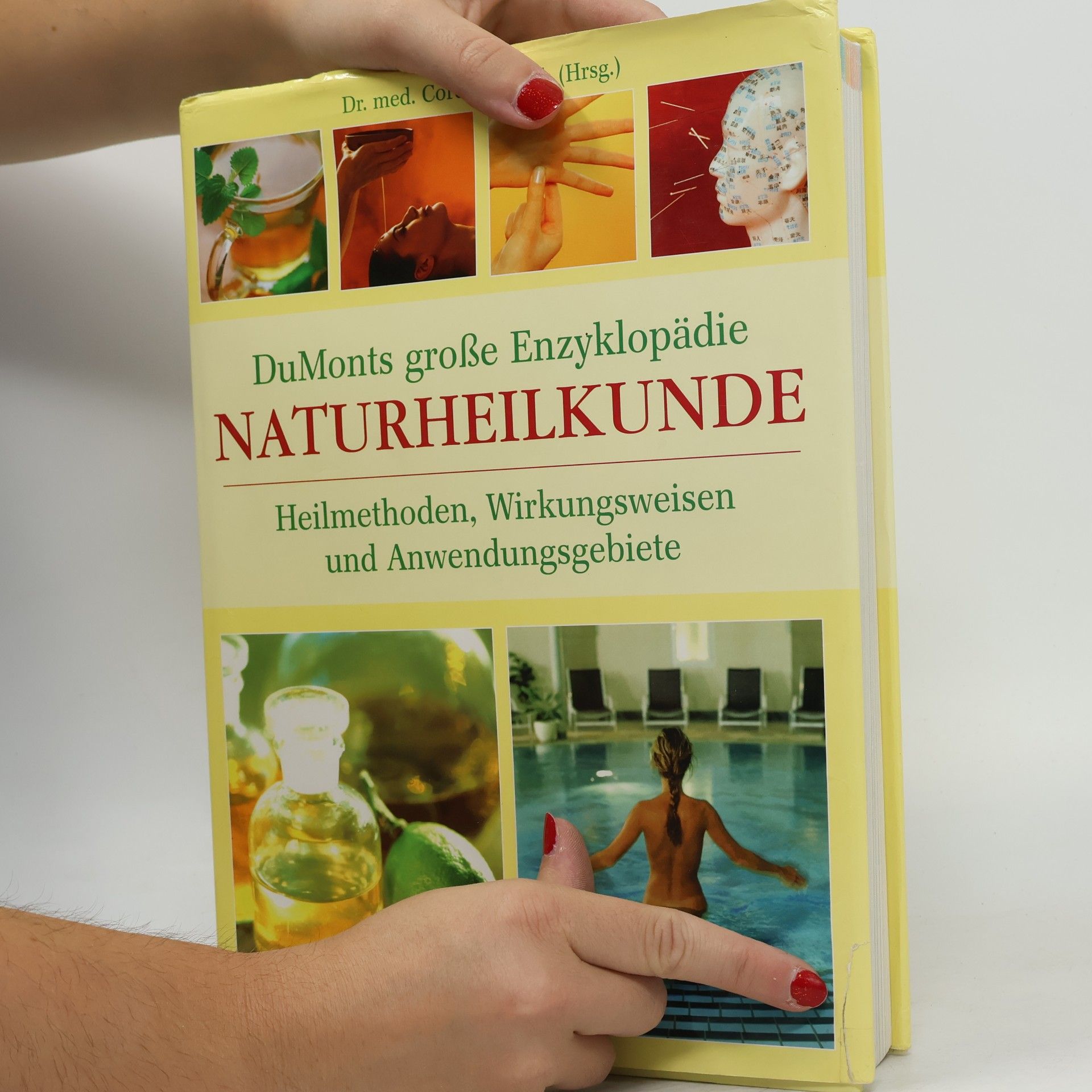 Cordula Bruch DuMonts große Enzyklopädie Naturheilkunde: Heilmethoden, Wirkungsweisen und Anwendungsgebiete