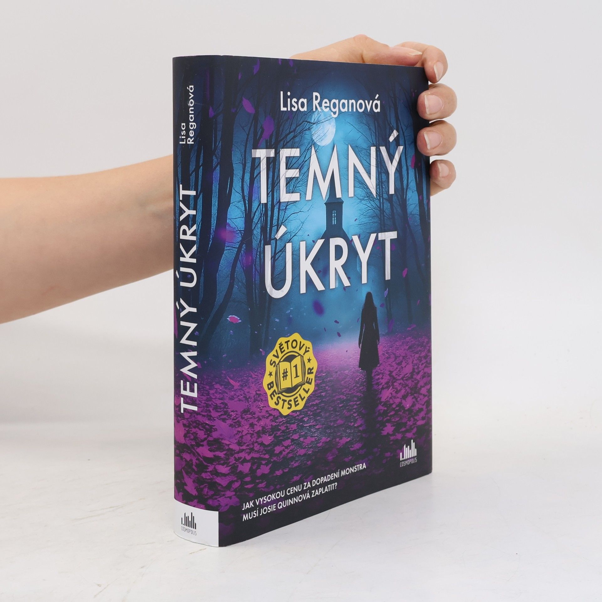 Lisa Regan Temný úkryt