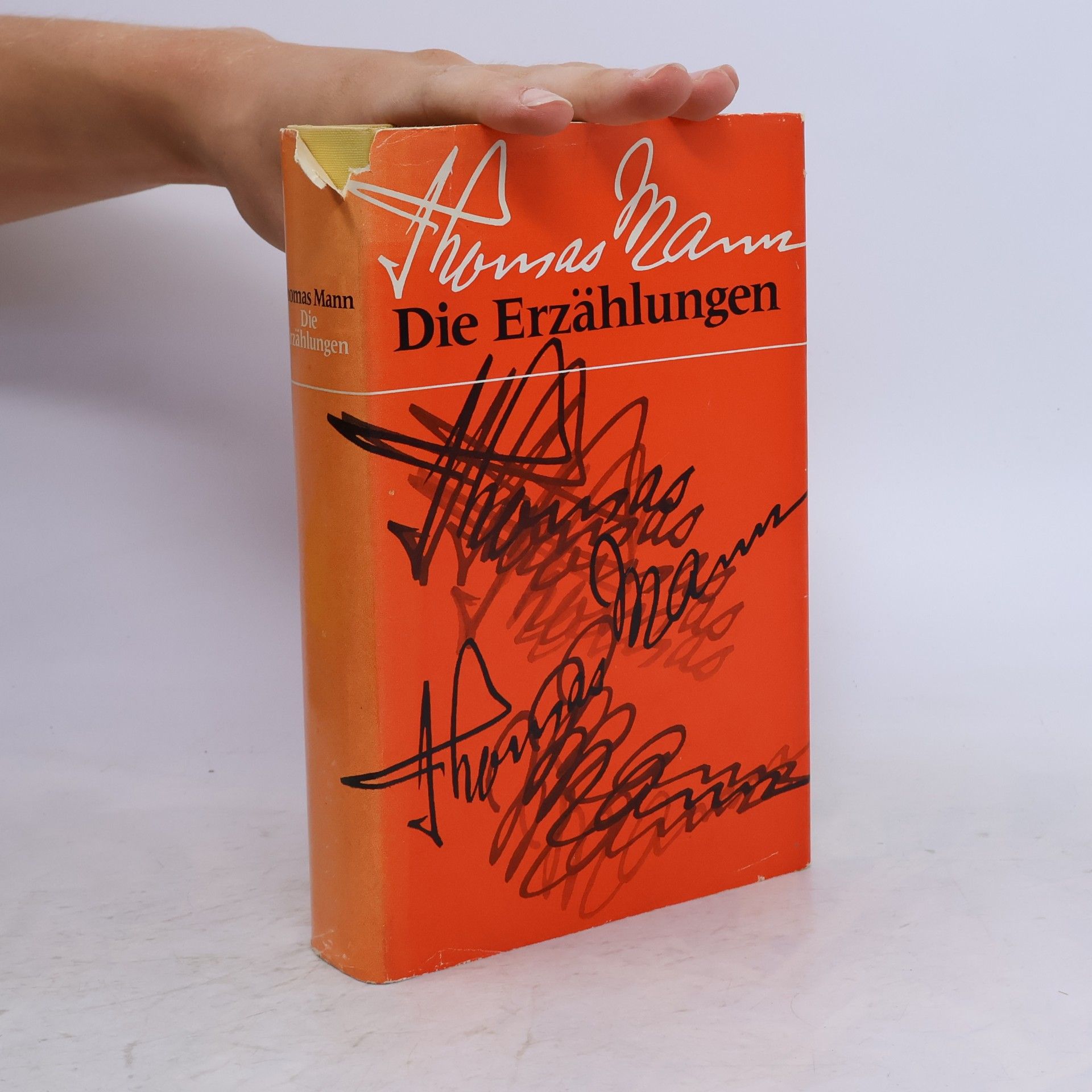 Thomas Mann Die Erzählungen
