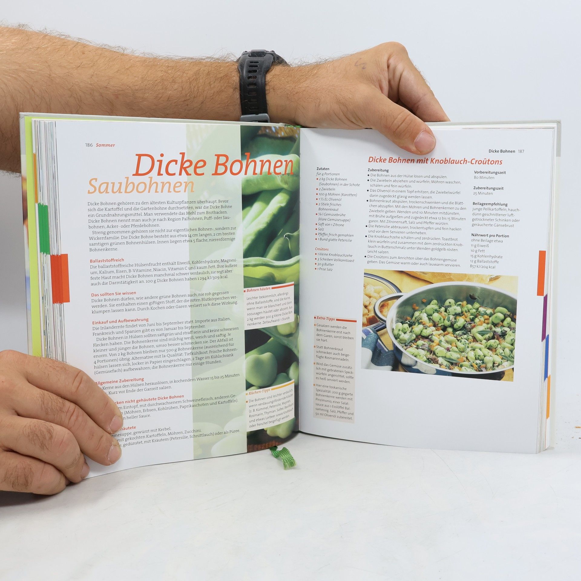AA.VV. Das neue Kochbuch durchs Jahr