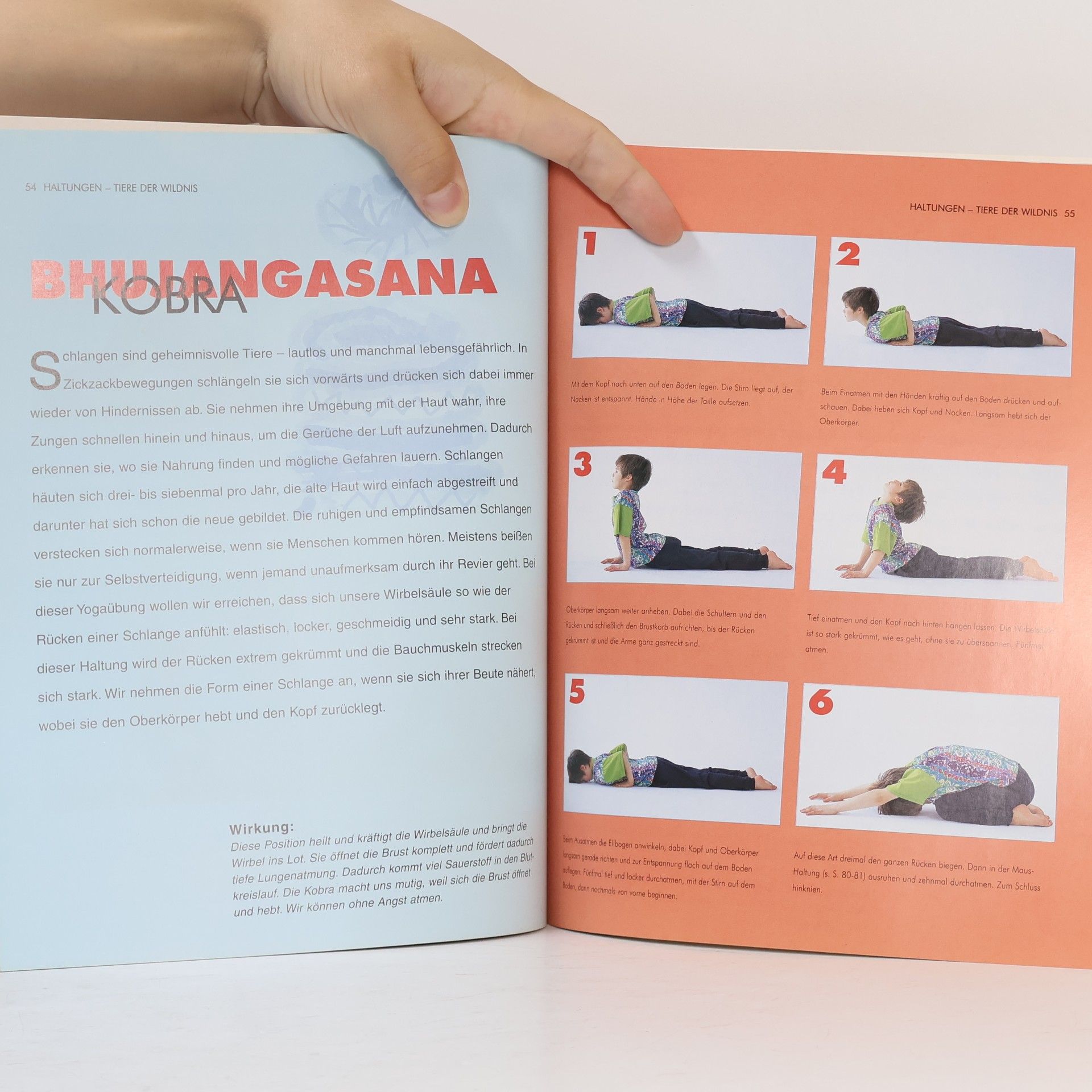 Liz Lark Yoga für Kids