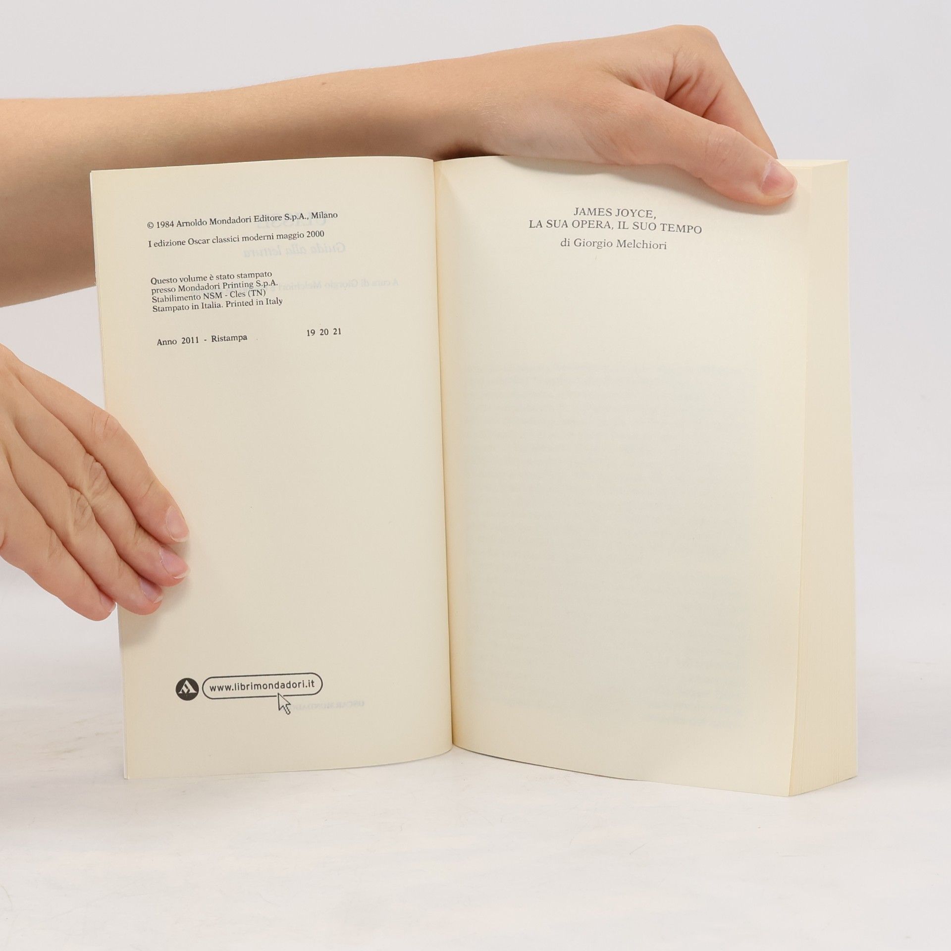 Ulisse Guida alla lettura